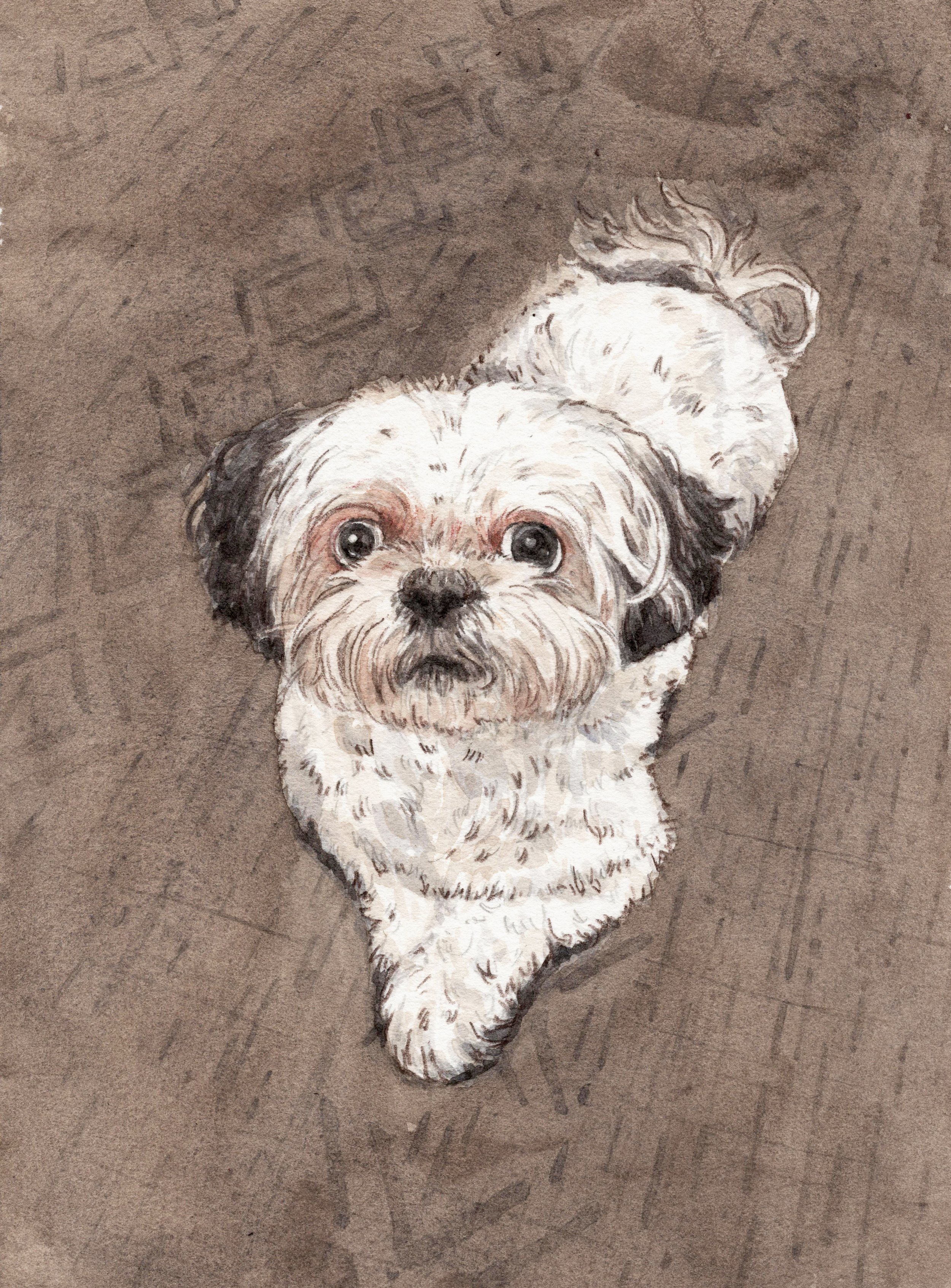 Pet Painting 118.jpg
