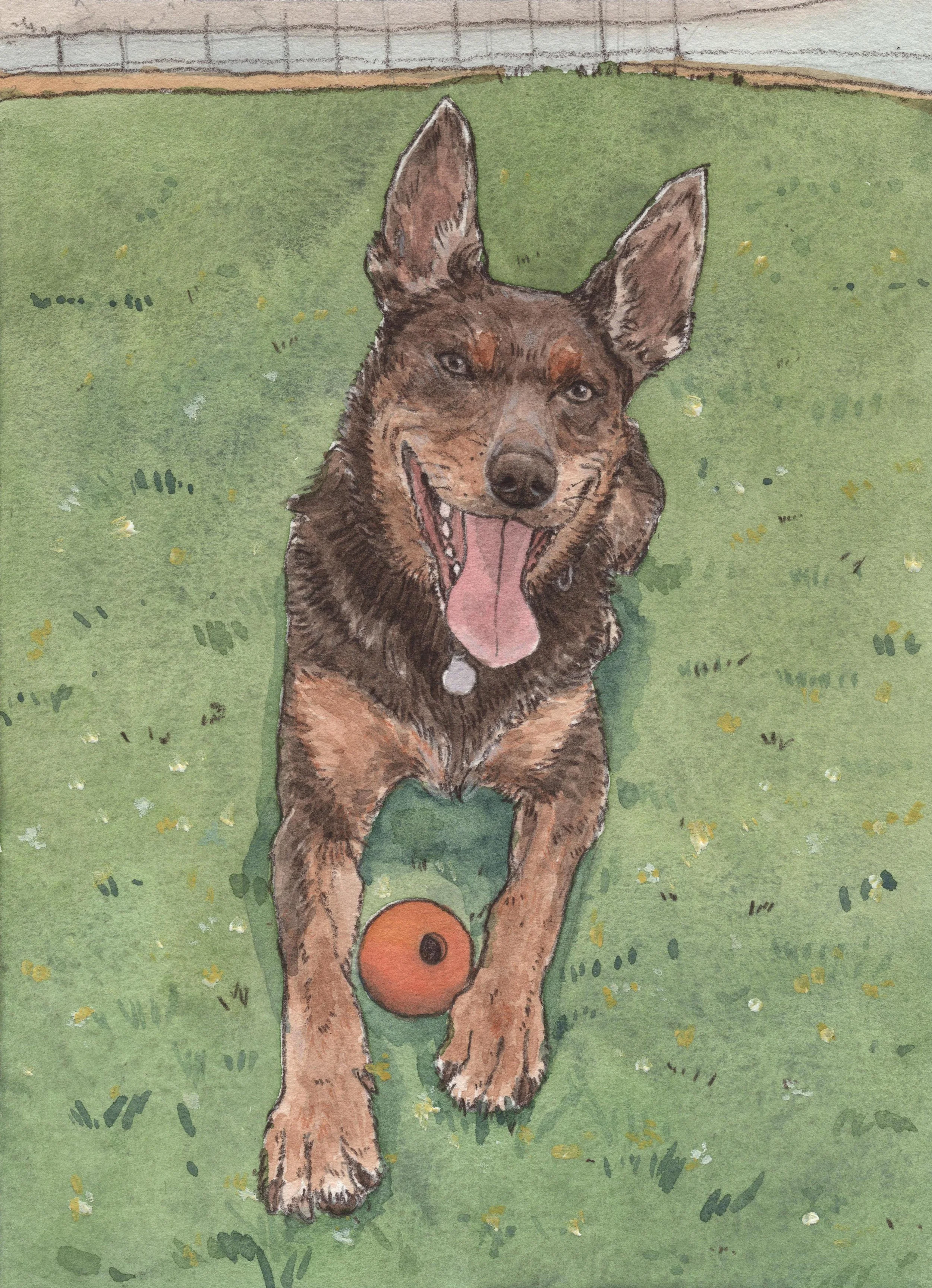 Pet Painting 054.jpg