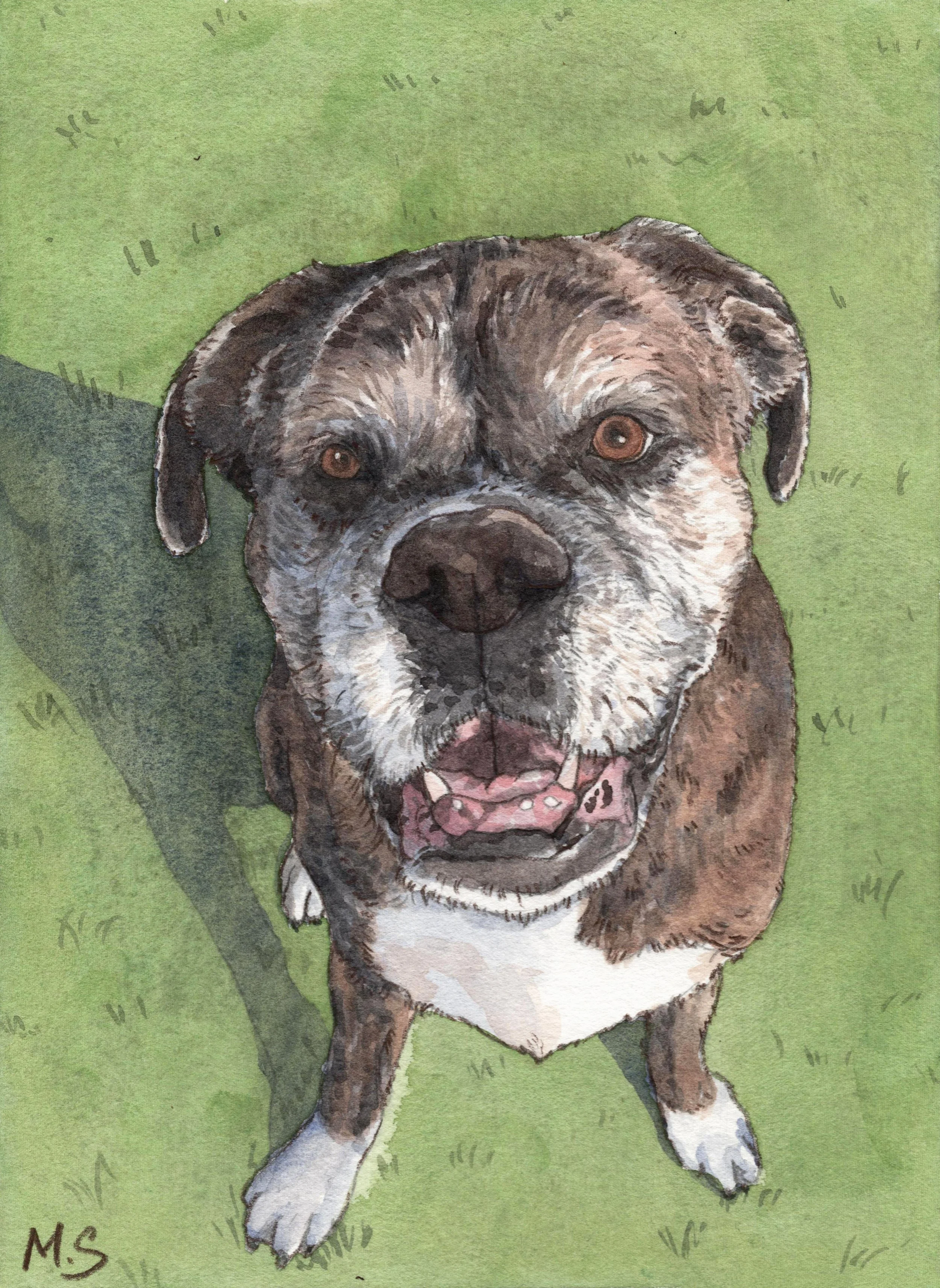 Pet Painting 122.jpg