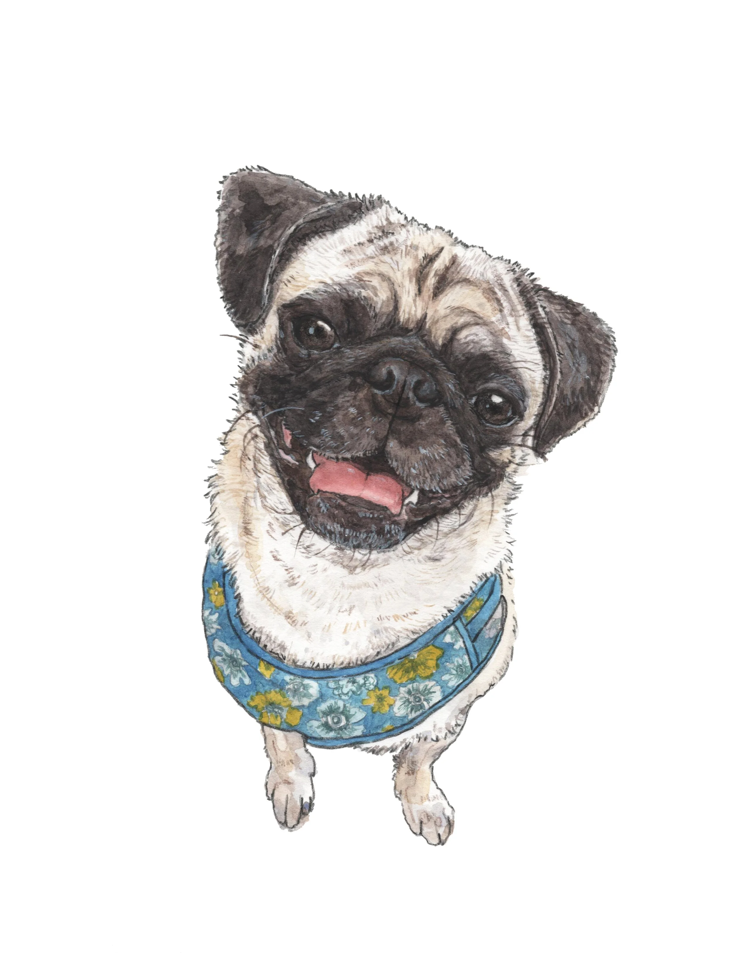 Watercolor painting of a pug dog with a happy expression, tongue out, wearing a blue bandana with yellow and gray flowers.