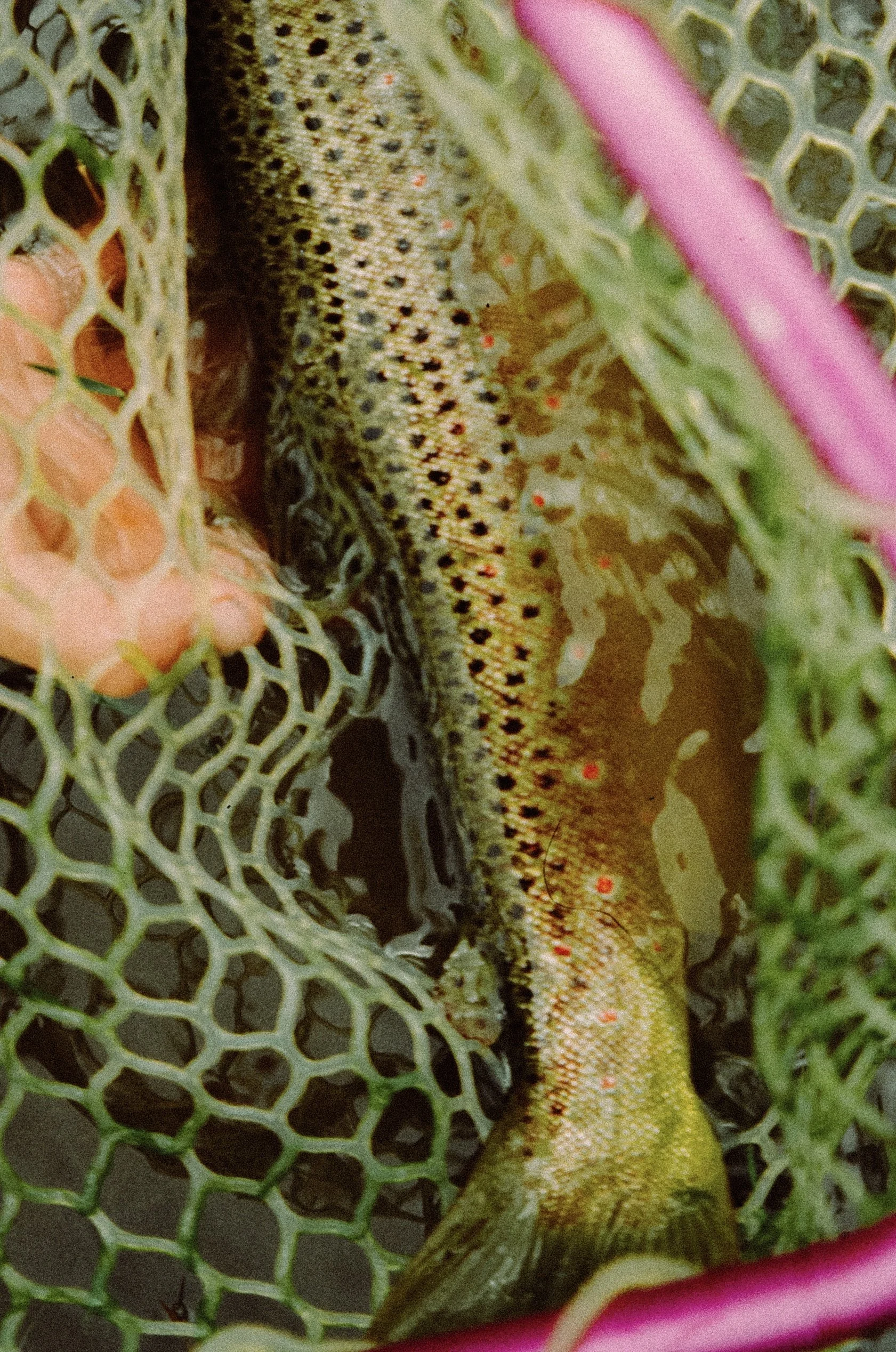 0024_25.jpg