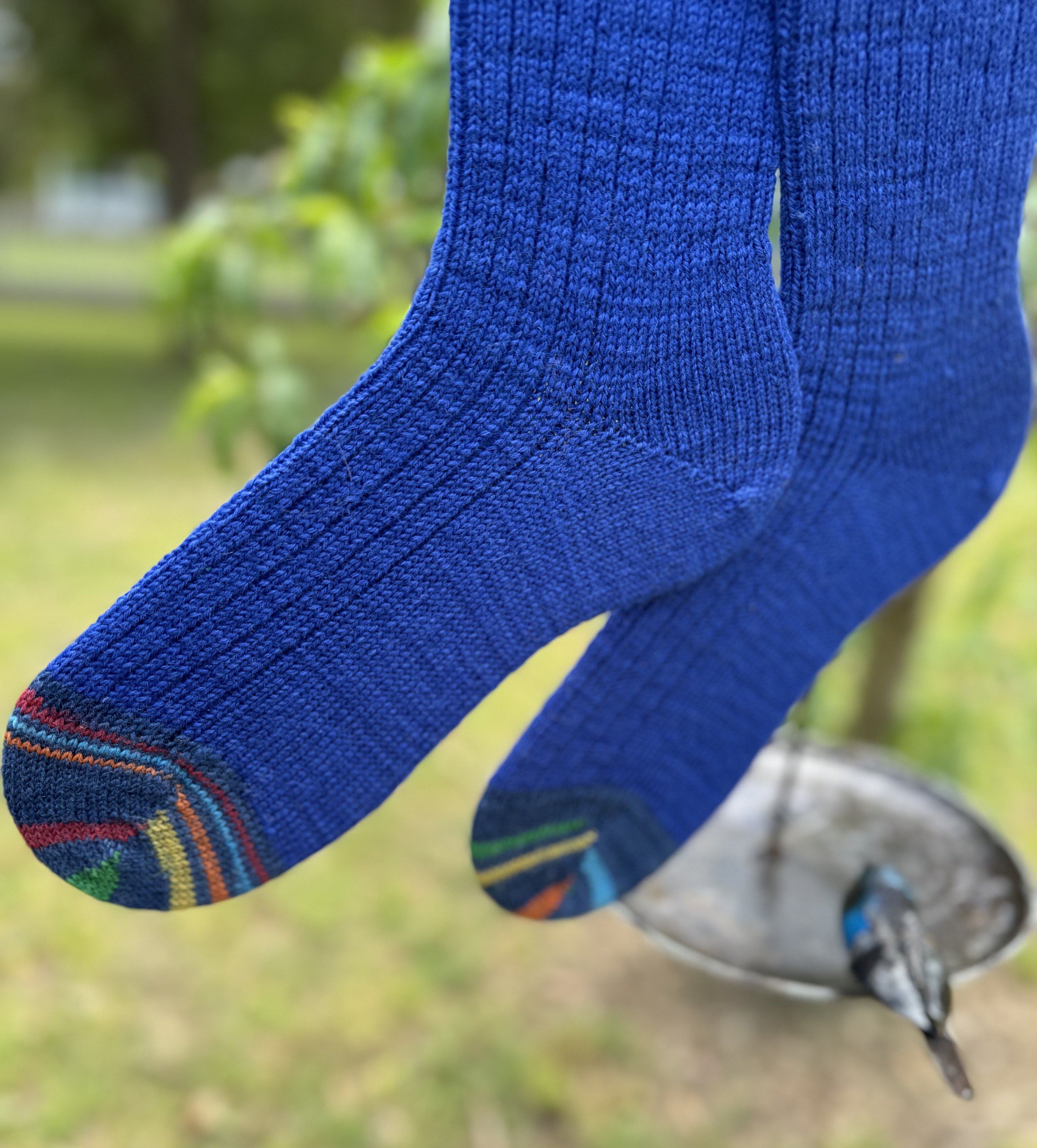 BlueToe.jpg