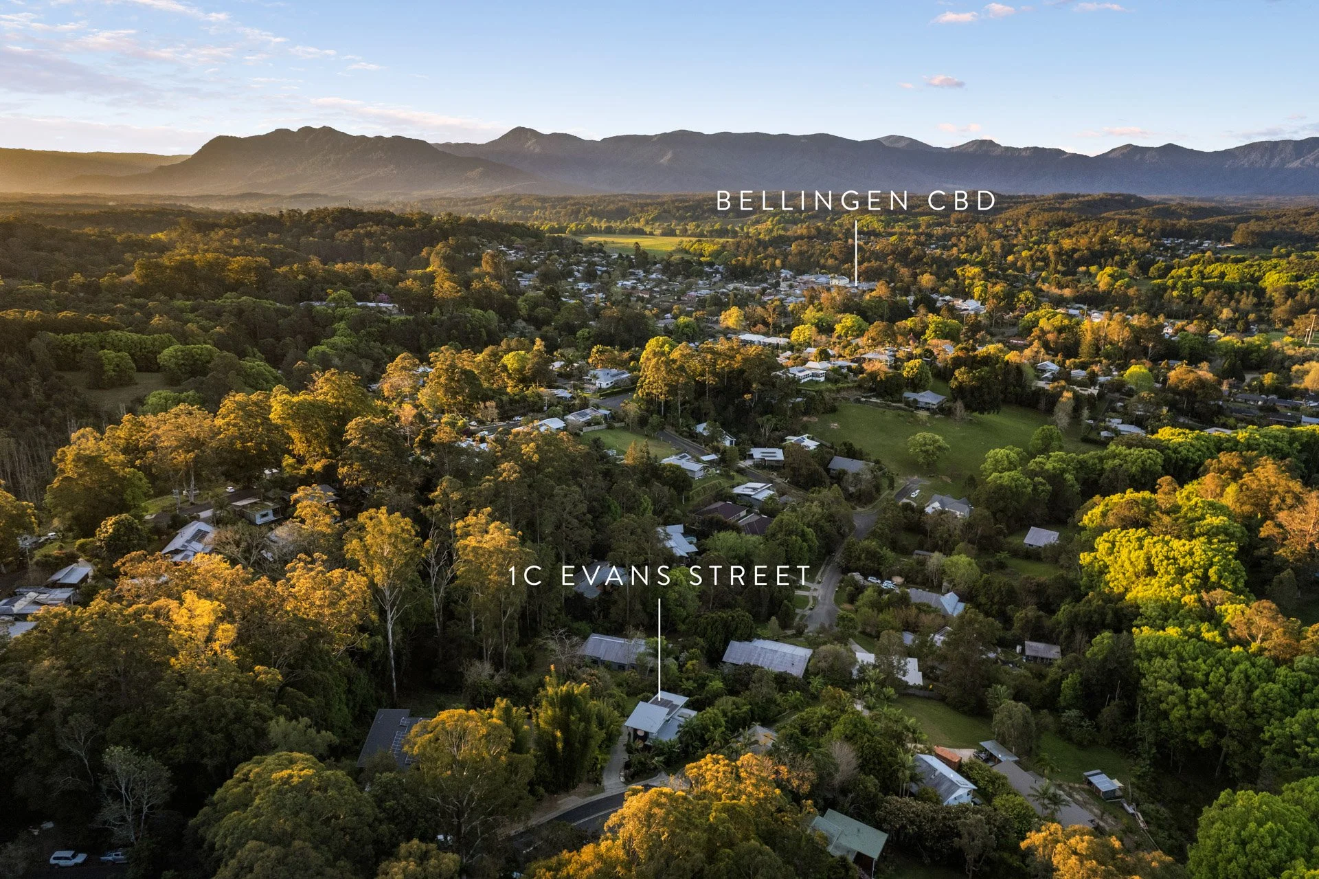 Peacefully nestled among the trees, just minutes from Bellingen's vibrant town centre.
