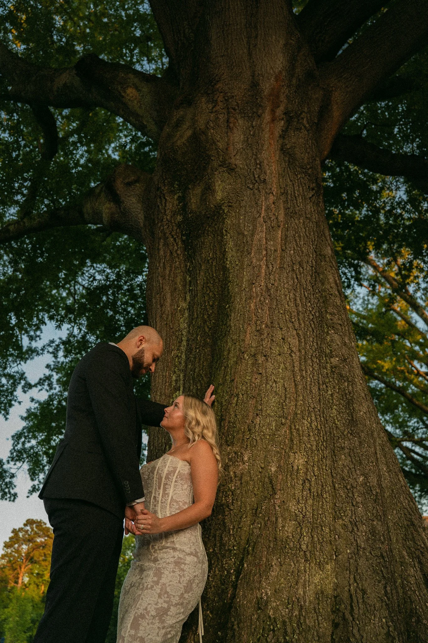 A couple standing close together near a large tree, with the man leaning down and the woman looking up at him, holding hands, during sunset.