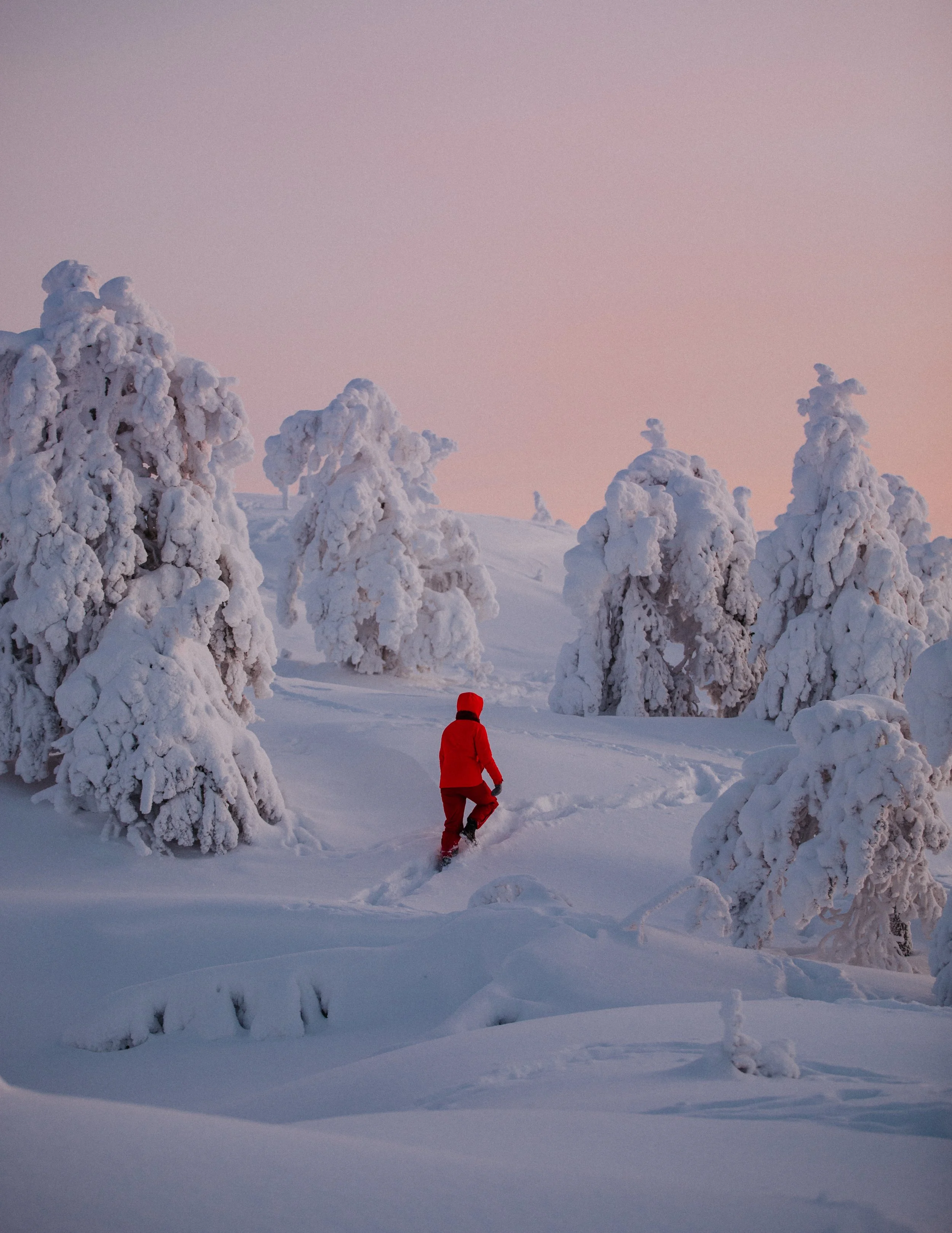 Small group trips to Finland