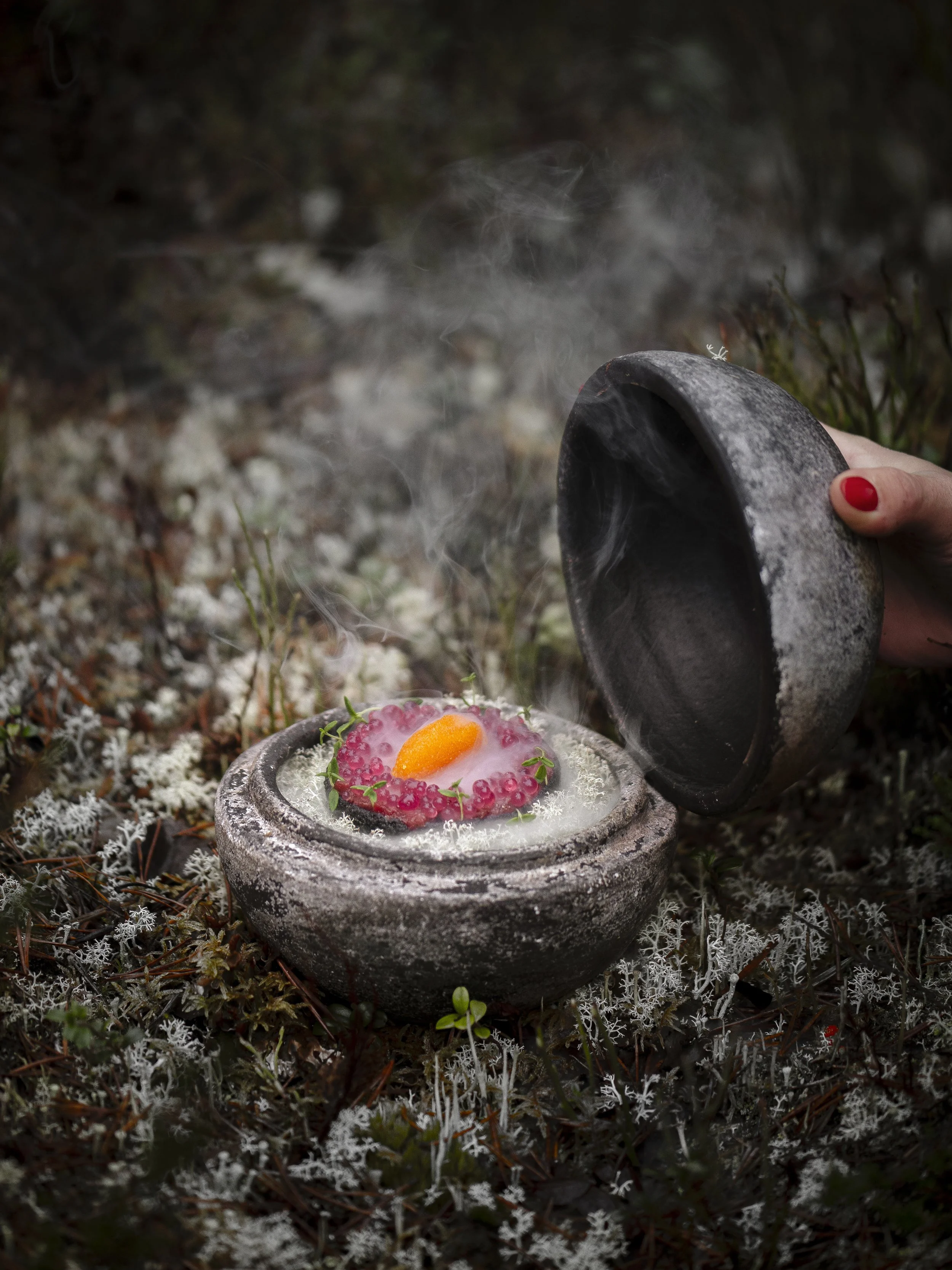 Nordic Gastronomy Tour