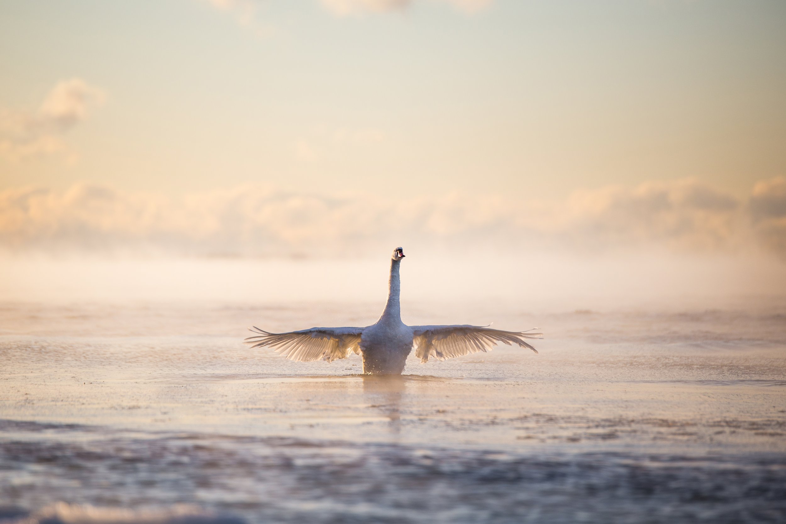 Summer tours to Finland