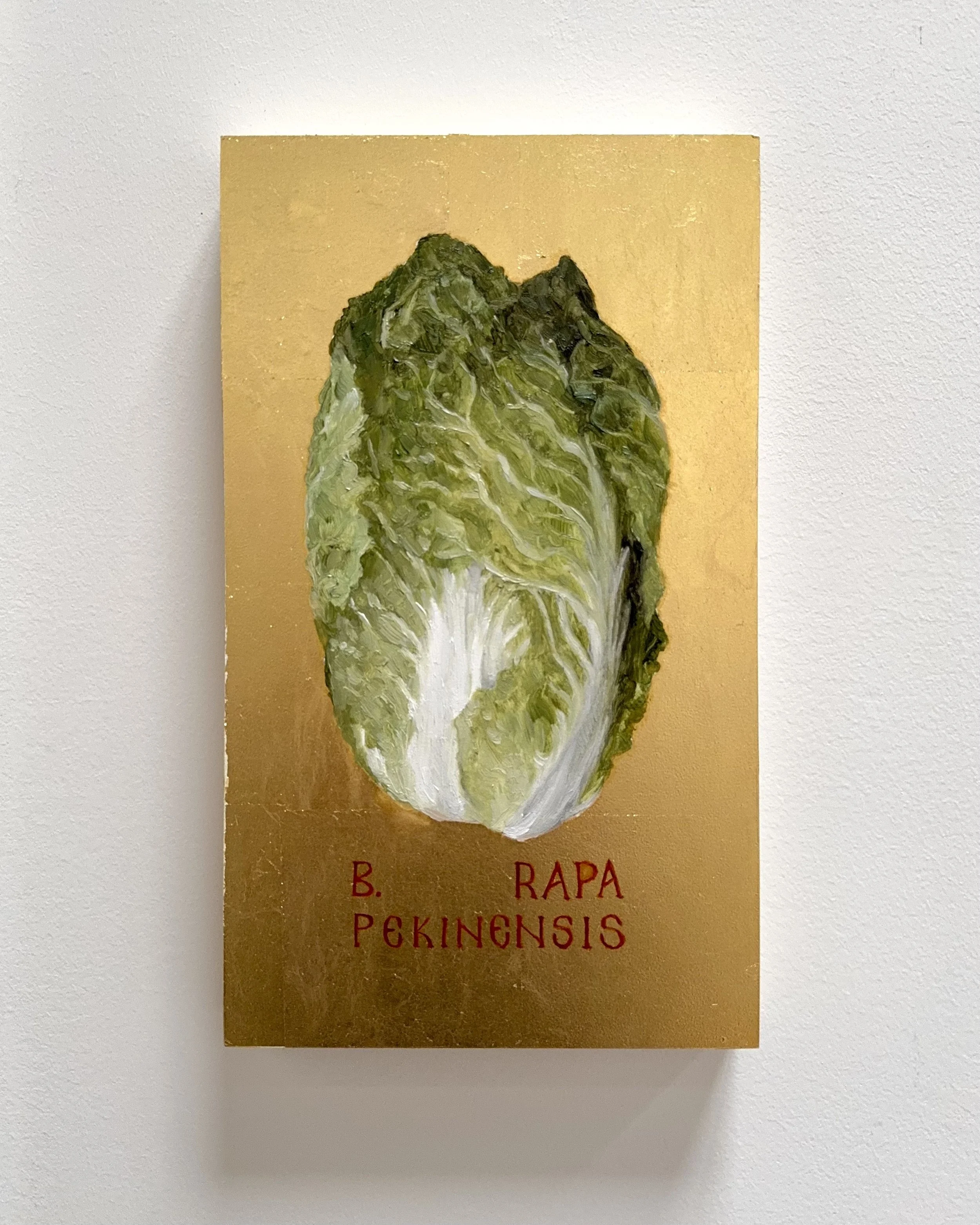 Gilded icon, Brassica Rapa Pekinensis
Oil and gold leaf on gessoboard
7x12 inches