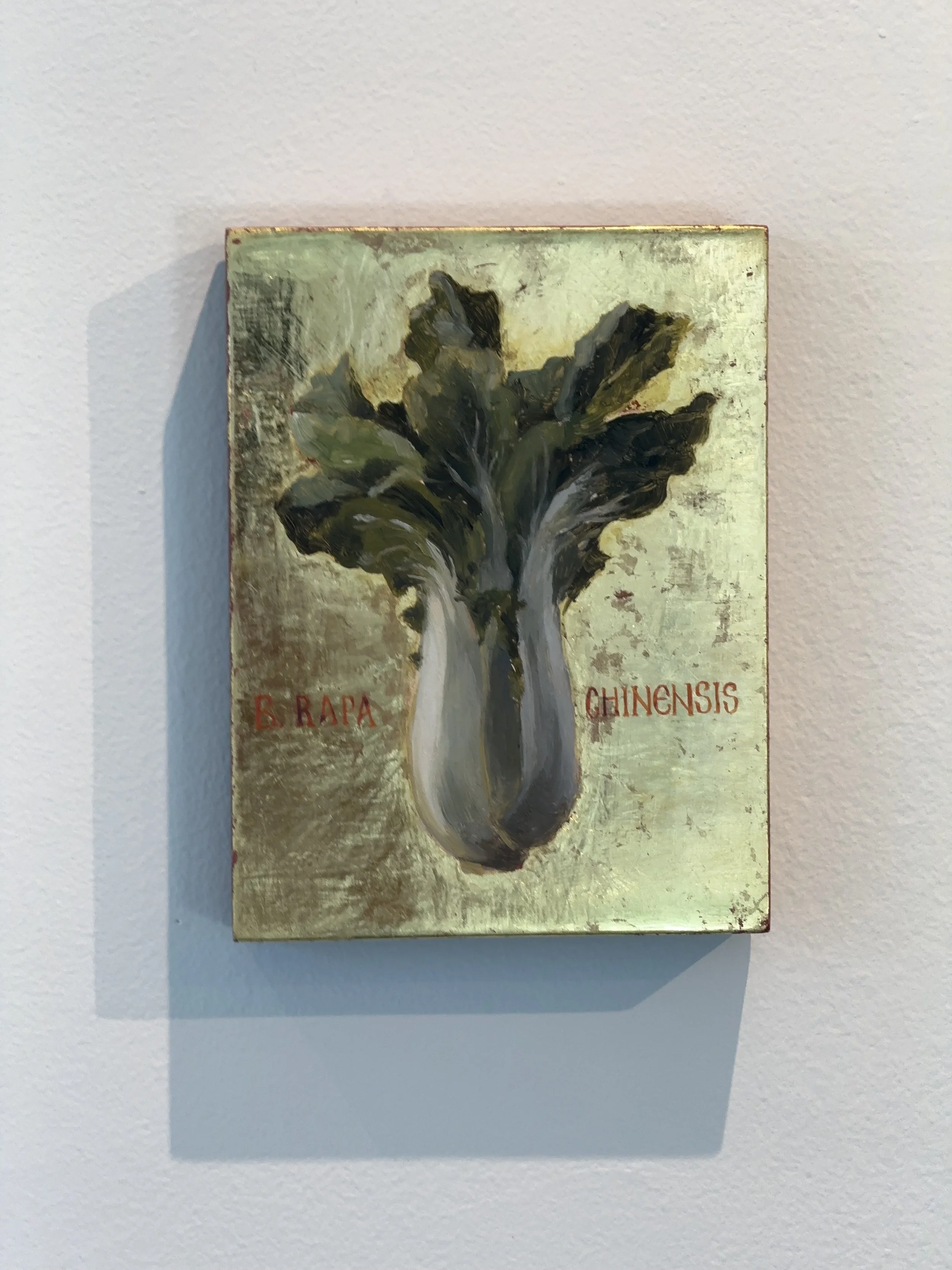 Gilded icon, Brassica Rapa Chinensis
Oil and gold leaf on linden icon board
5x7 inches