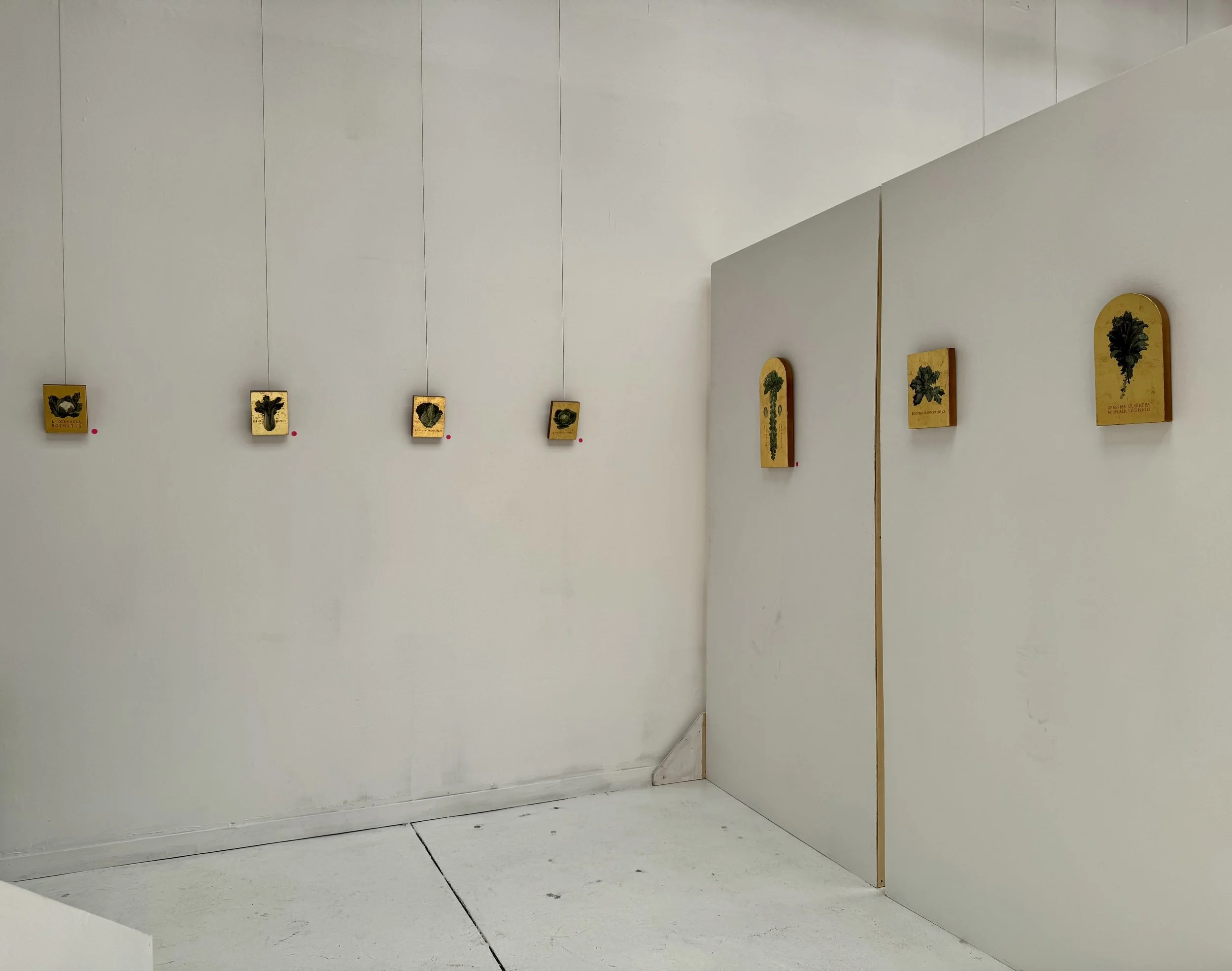 Installation view at Jettison Arts Foundation