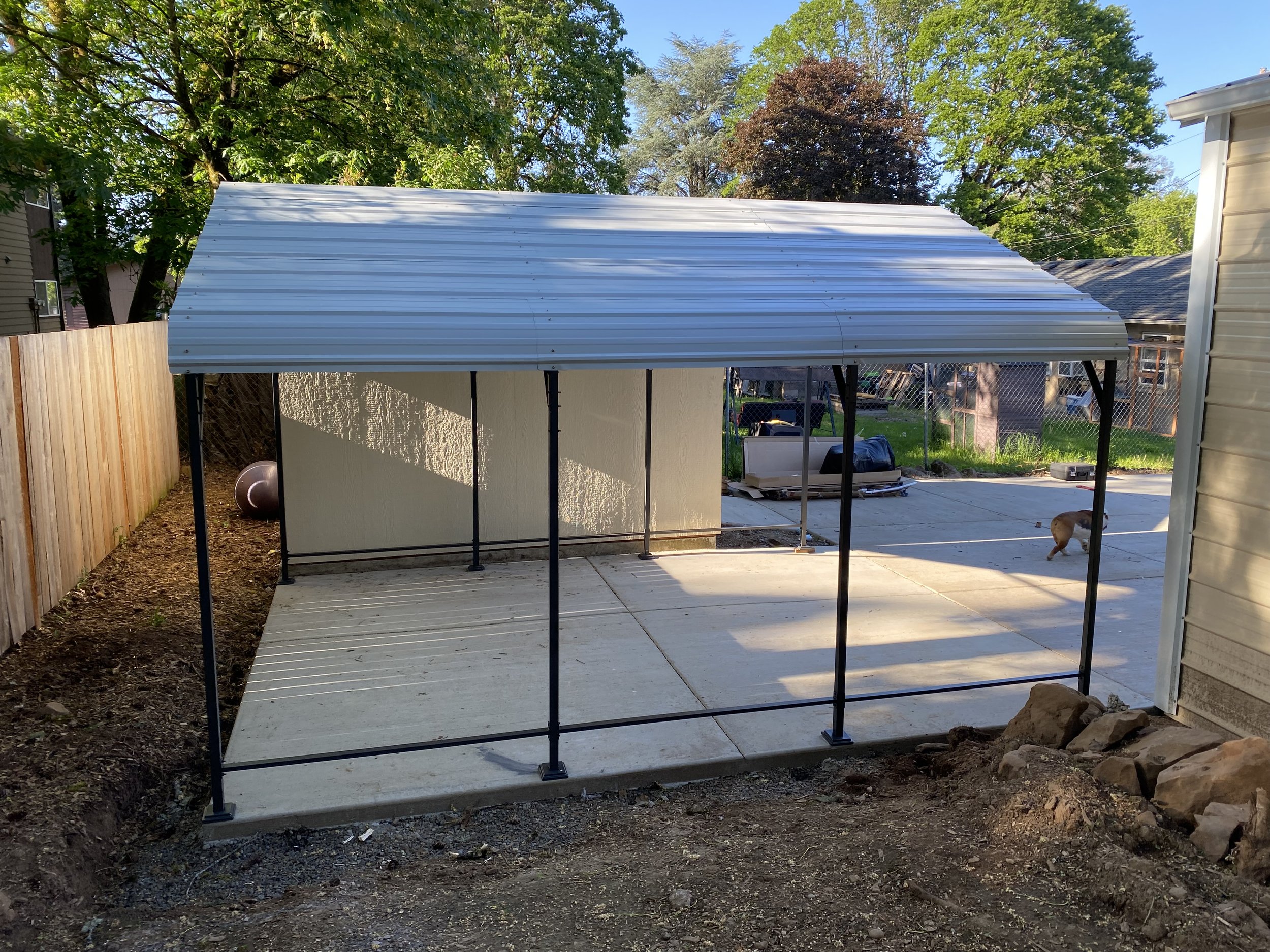 A small metal carport with a curved corrugated metal roof over a concrete area in a backyard. There is a wooden fence, several tall trees, and a house visible in the background. A dog is walking on the right side of the image.