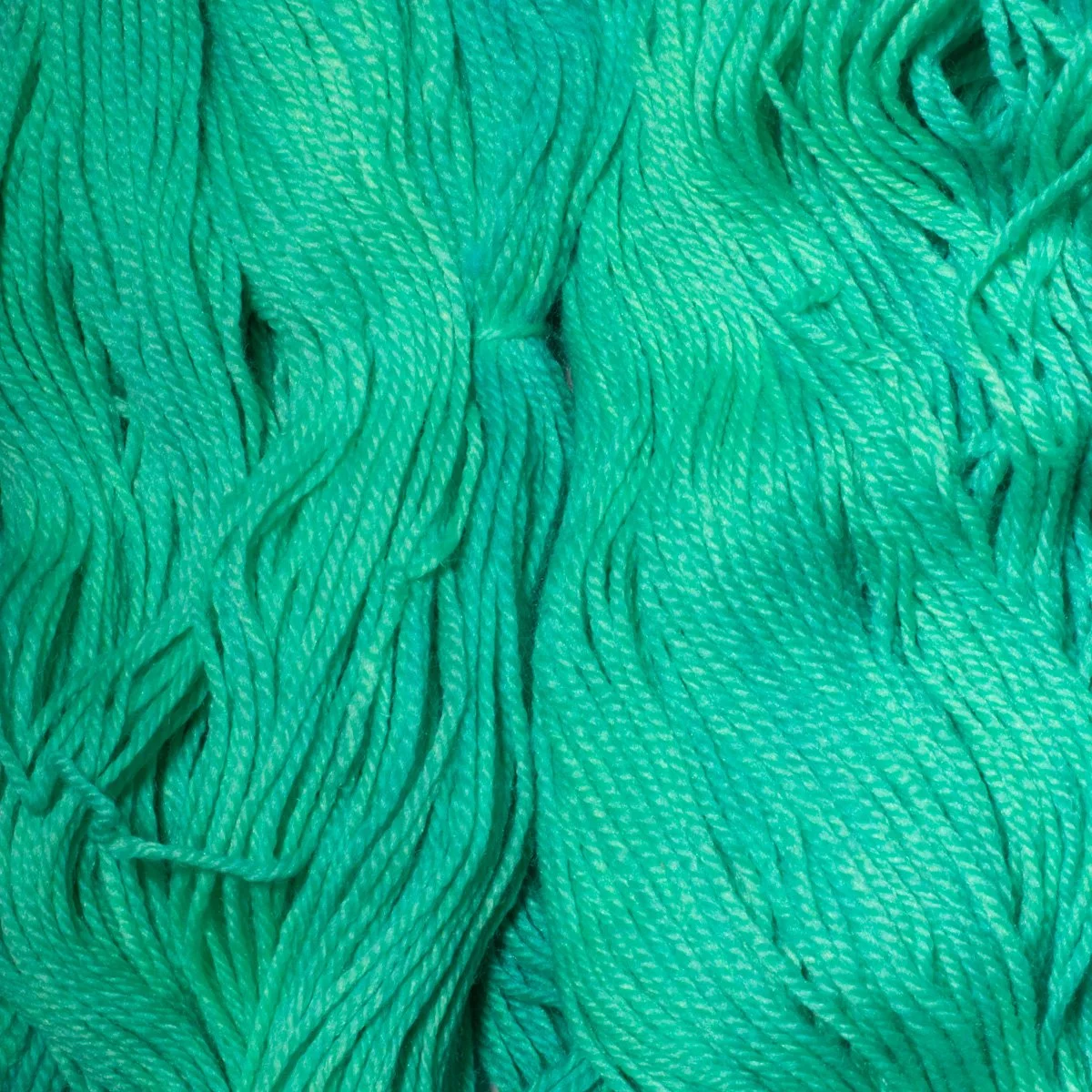 Monster Mash Close.jpg