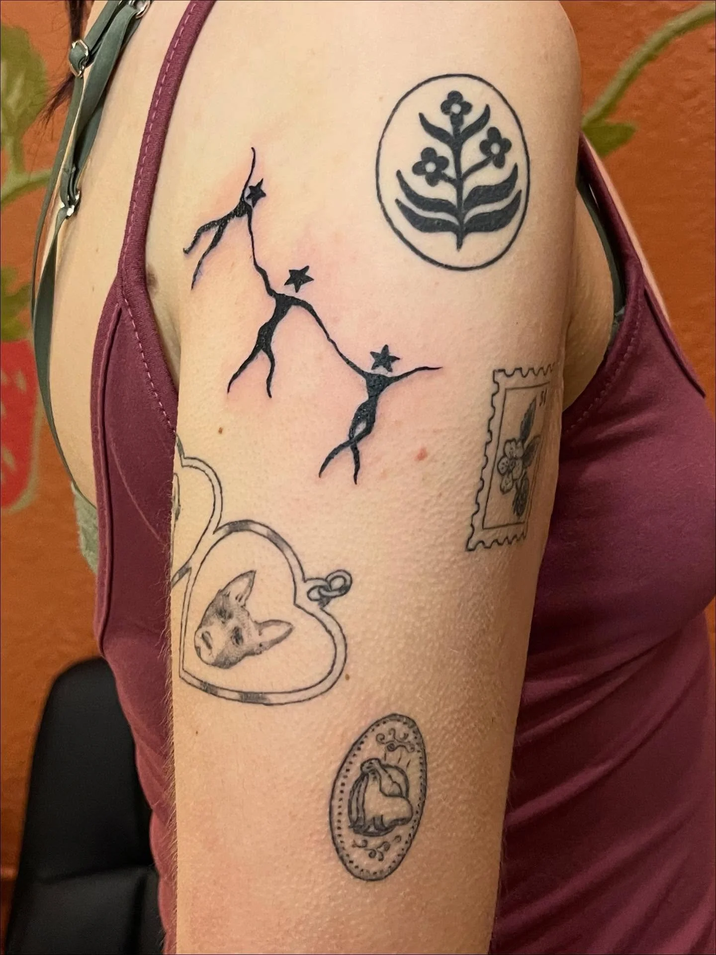 Another one for Tessa&rsquo;s collection! All the surrounding ones are healed about 3 months. Always great to see you ⭐️🦭🌸🐶💃