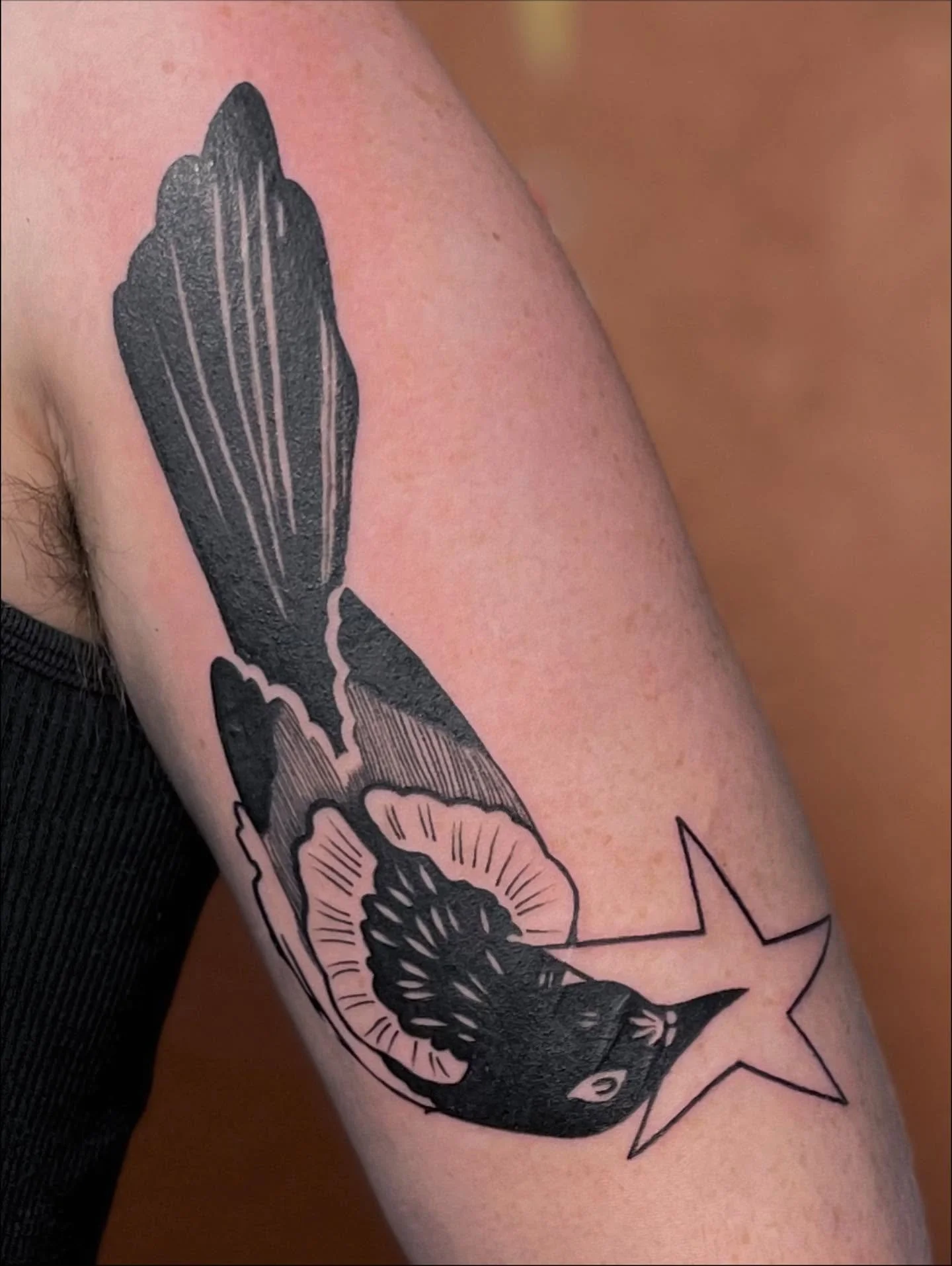 Thank you Milo!

They designed this magpie and let me tattoo it. I am loving how it turned out. More bird tattoos please!

#birdtattoo #salemoregon #portlandoregon #corvallisoregon #eugeneoregon #willamettevalley #womanowned #birding #blackwork