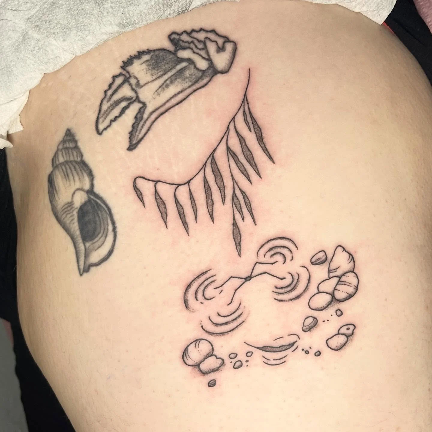 Thank you Cassidy! Today we added the water strider with willow branch from my flash, placed under a crab claw also from my flash (healed shy of 2 years with a minor touch up today). I love how these pieces are beginning to create a vignette with a w