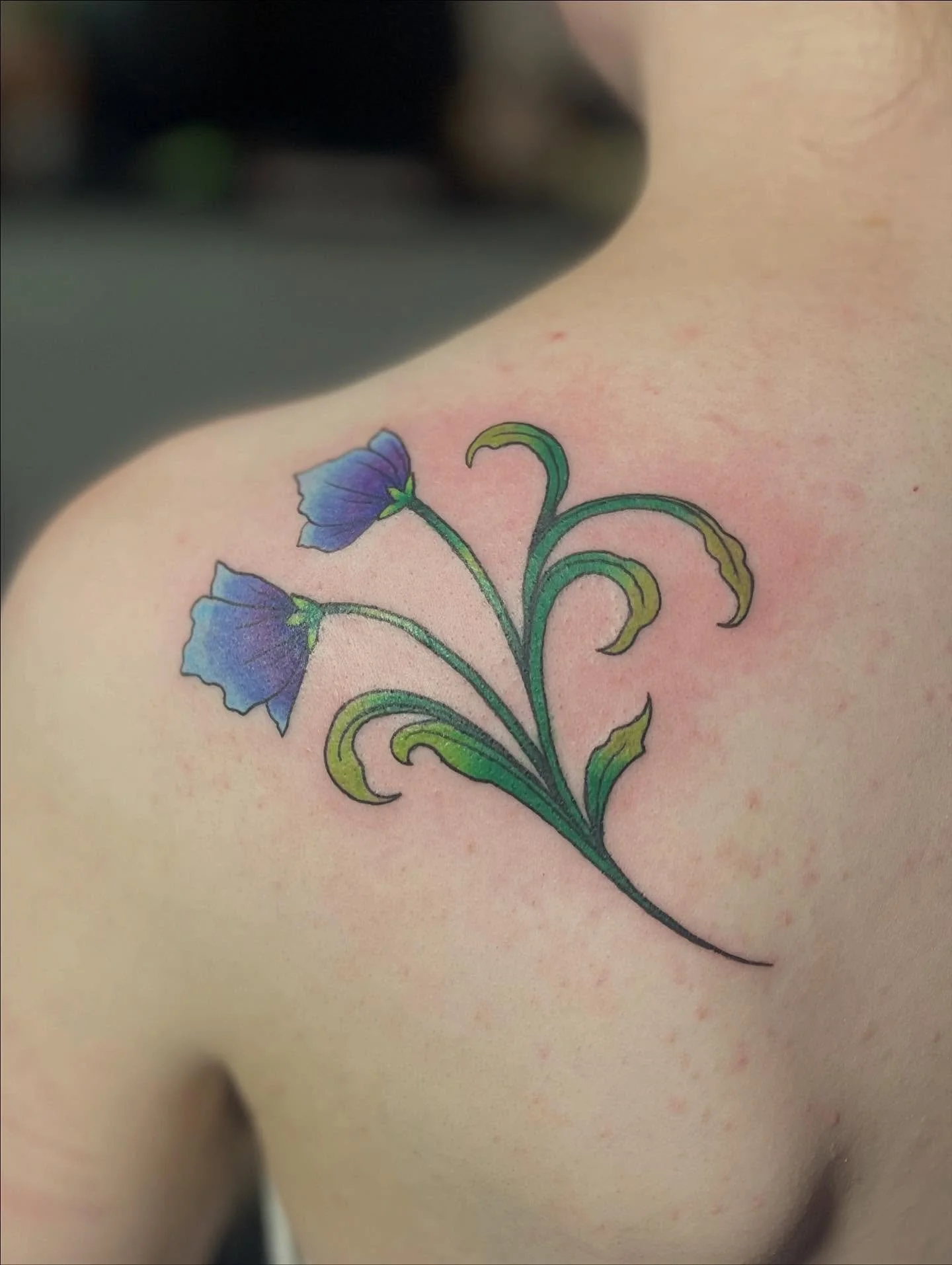 Plants and animals (and fungi) 🍄 
.
.
.
Tattoo Artist in Salem Oregon