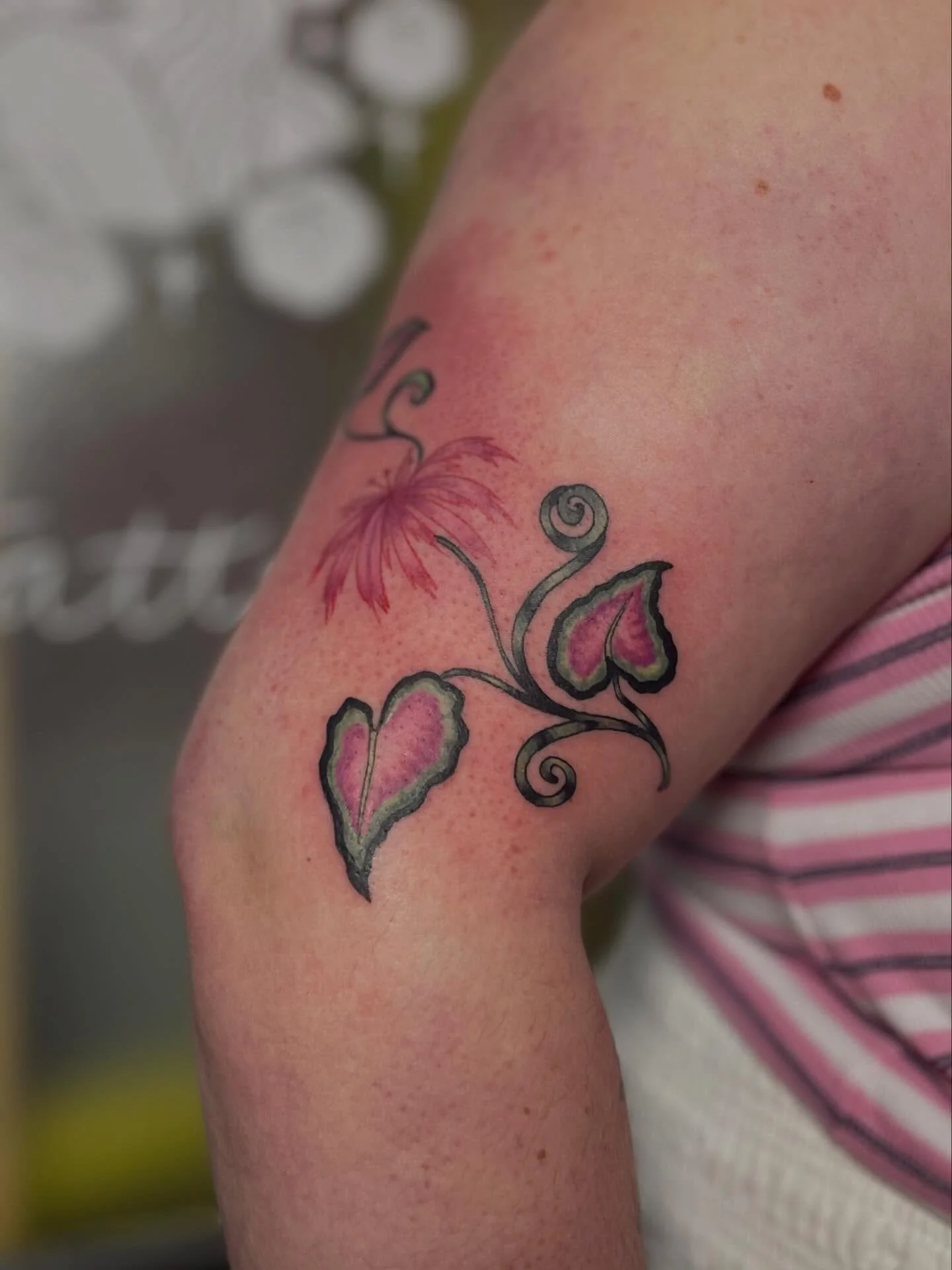 One of my flash for Gracyn who even wore a matching shirt 🌸 thank you so much for coming down from Portland!! Loved doing these heart leaves so close to Valentine&rsquo;s Day!

Last slide is the flash sheet for tomorrow! The rules of the event are o