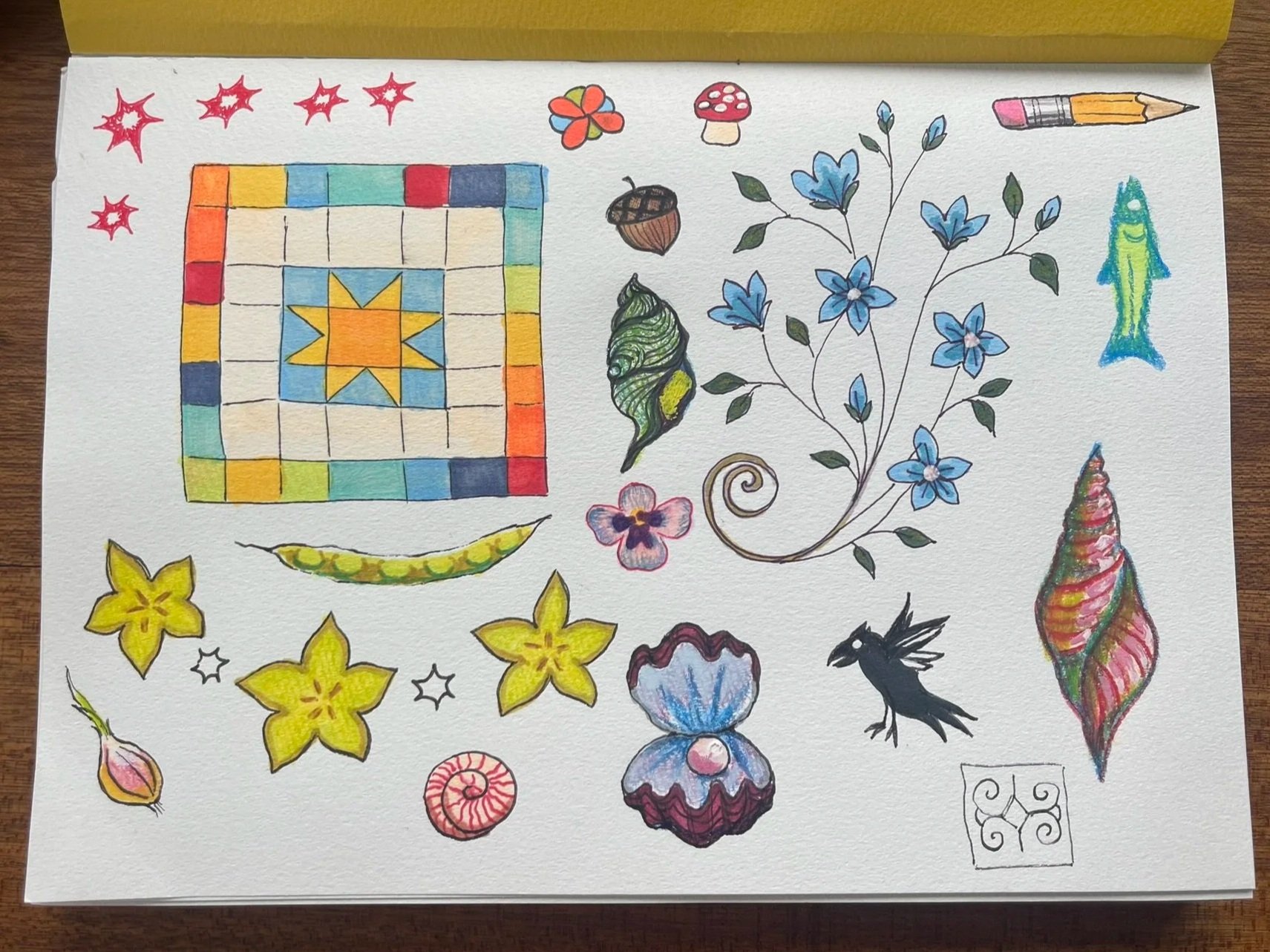 Colorful hand-drawn illustrations on a white sheet of paper, including a rainbow-colored tile pattern with a star in the center, various flowers, leaves, a fish, a shell, a bird, a pencil, a sea shell, a spiral shell, and decorative elements.