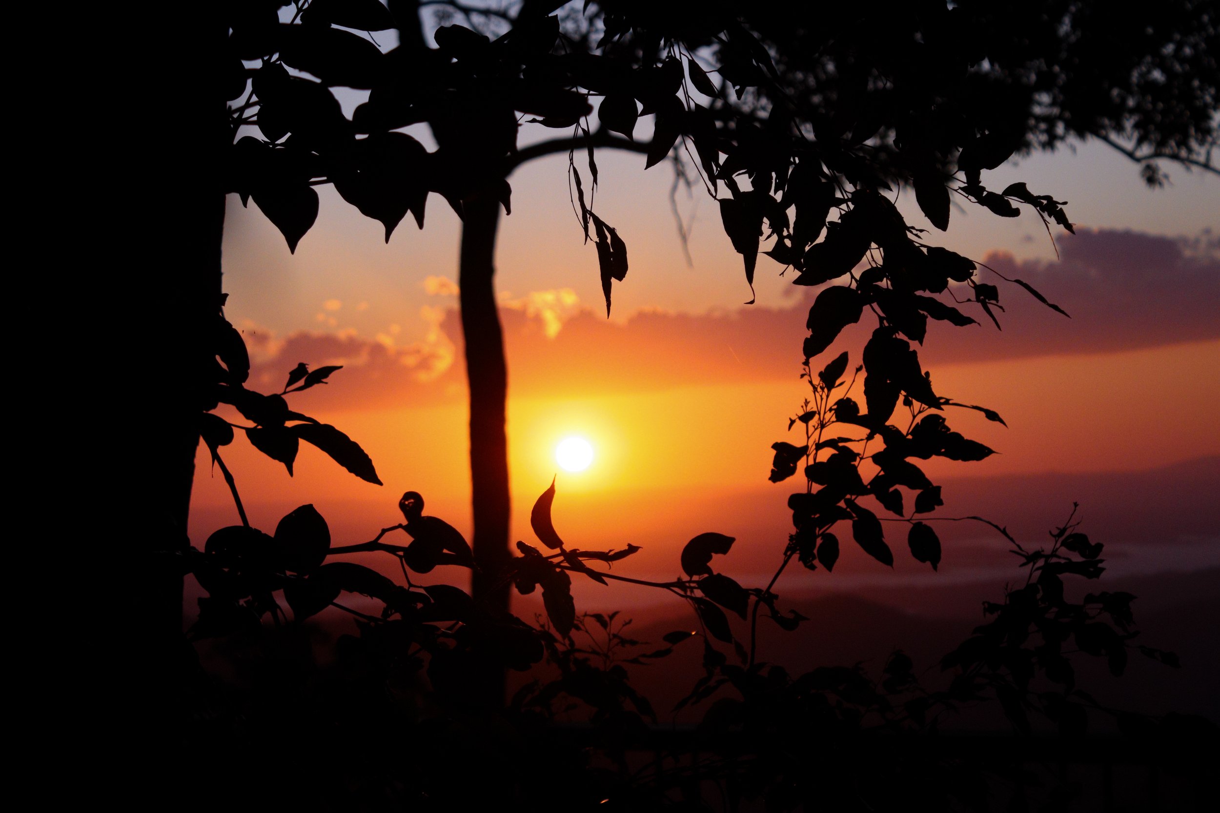 SUN002.jpg