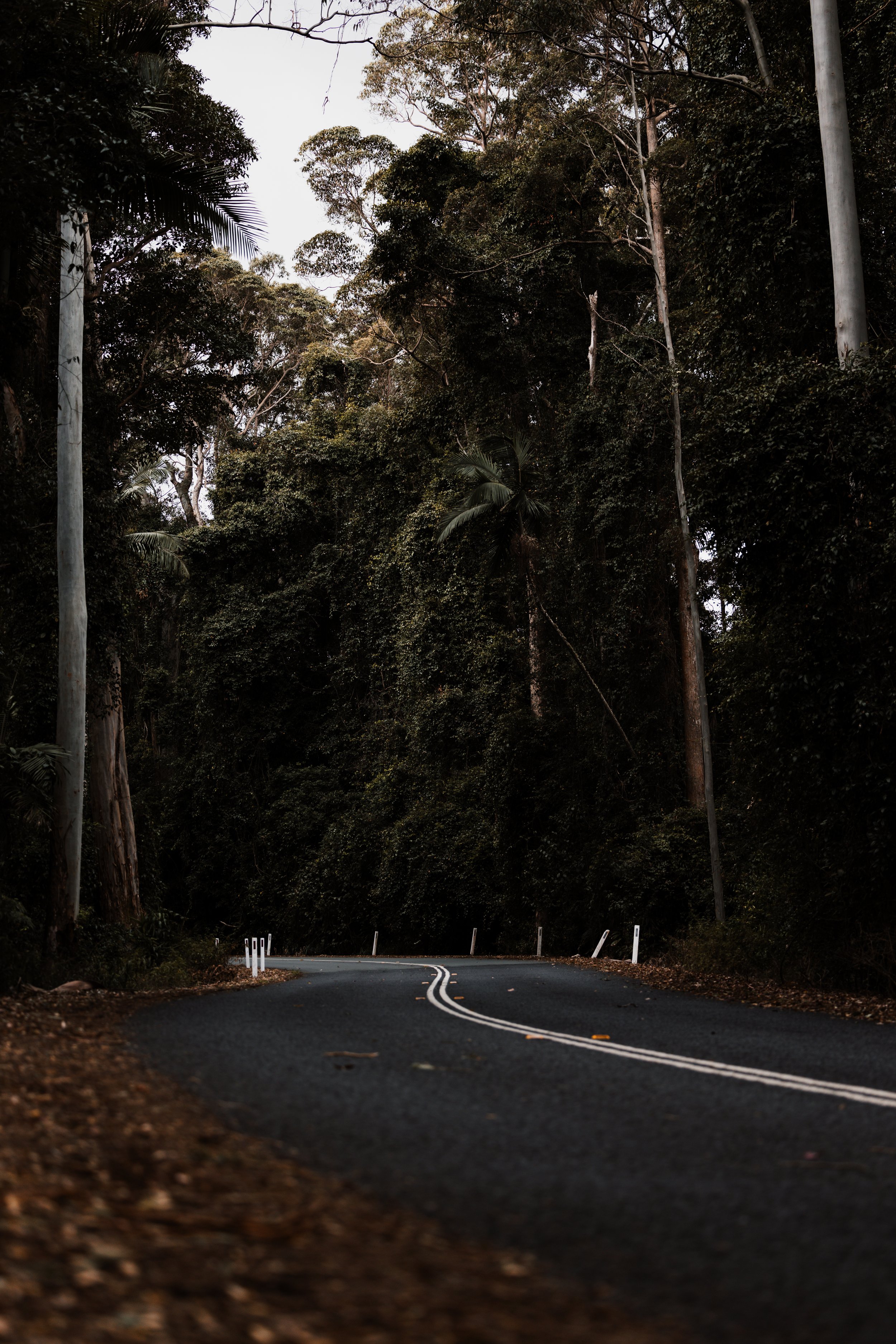 ROAD003.jpg