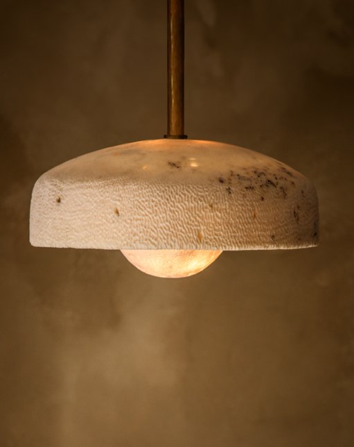 Marovo Fossil Coral by Lighting Collective / The Local Project
