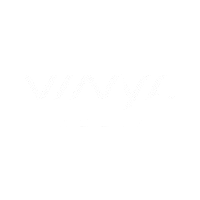 Vinyl Media logo with white text on a black background