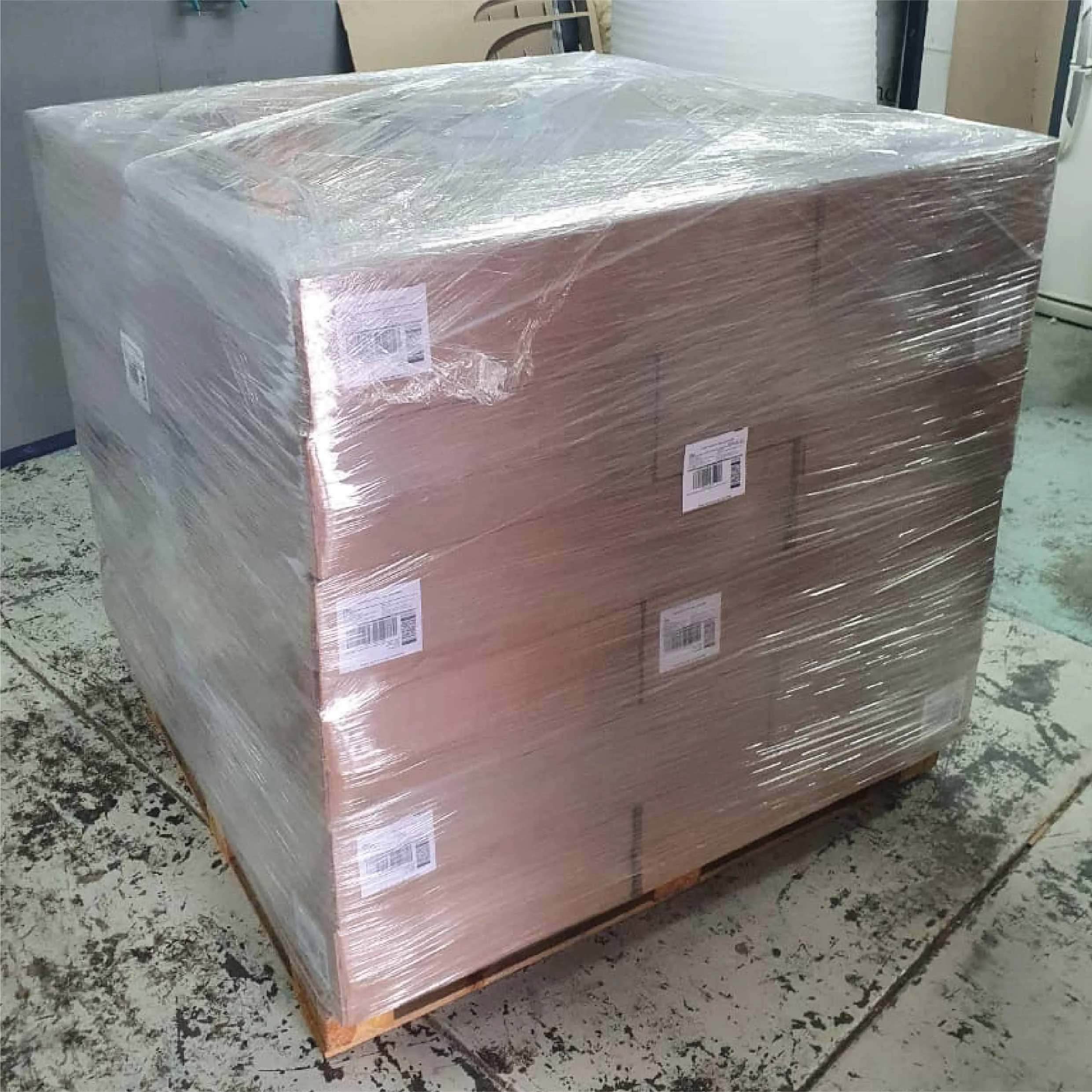 OAK_Website our work_WAR6.jpg