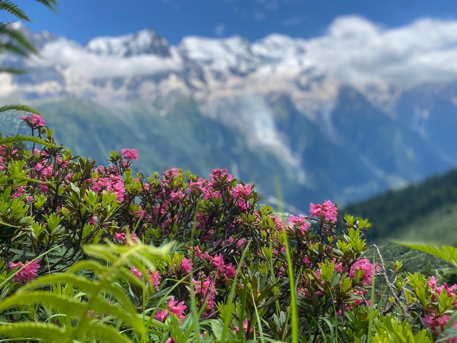 Quels travaux réaliser pour maximiser la plus-value de votre bien à Chamonix ?