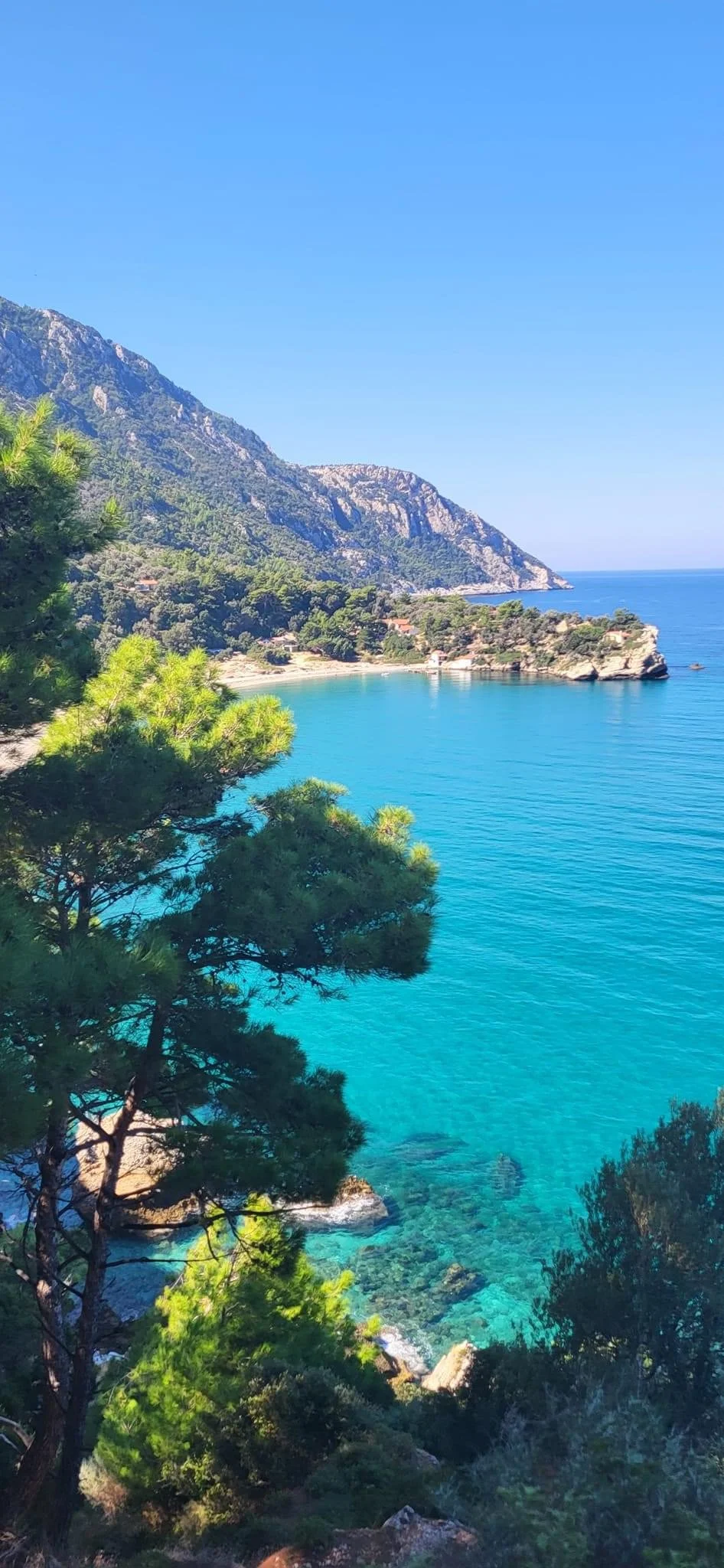 Kustlandschap met helder blauw water, groene bomen en rotsachtige heuvels onder een heldere blauwe lucht op Samos.