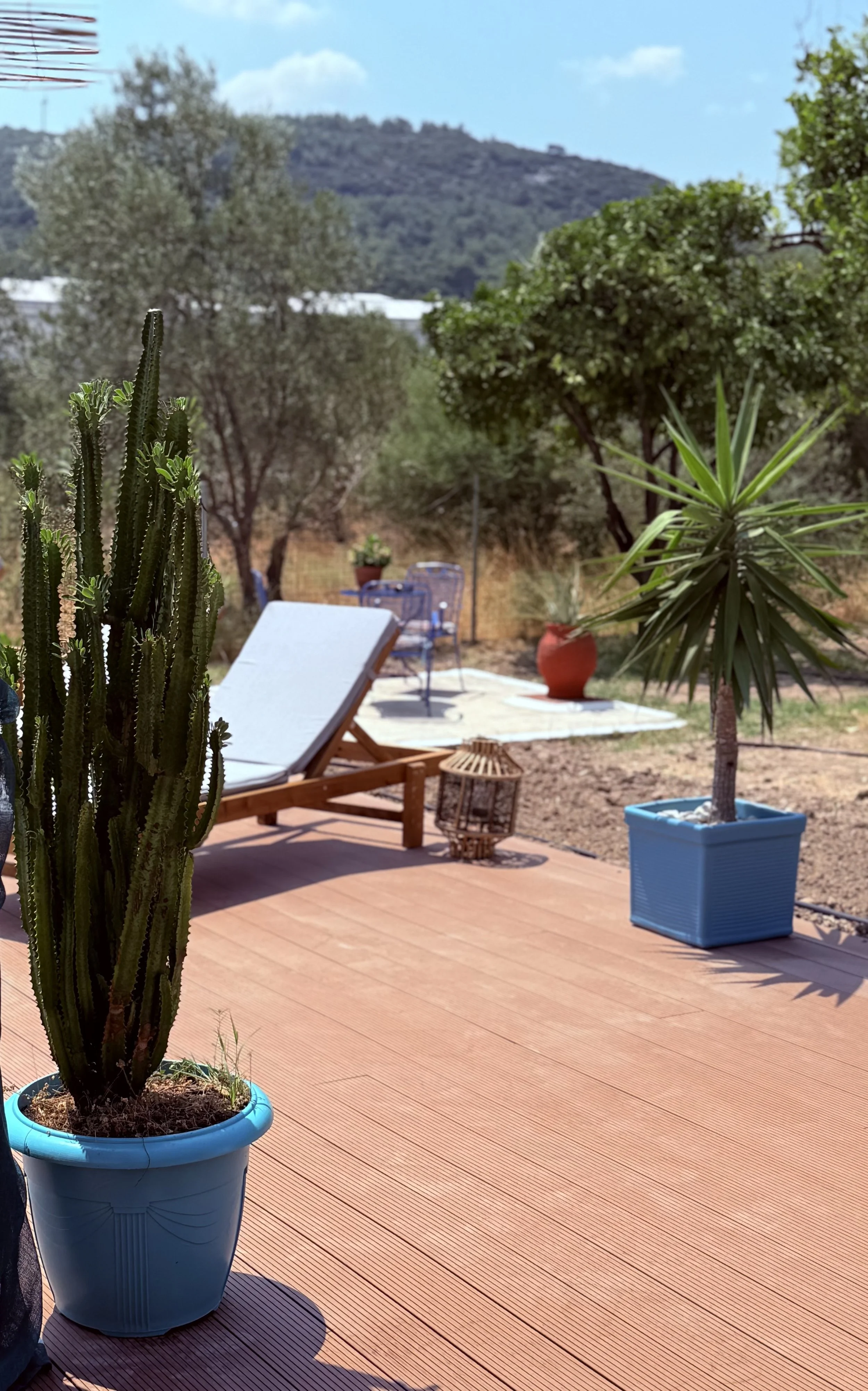 Tuin met cactussen en palmbomen op een houten terras, met tuinmeubilair, potten, en een berg in de achtergrond.
