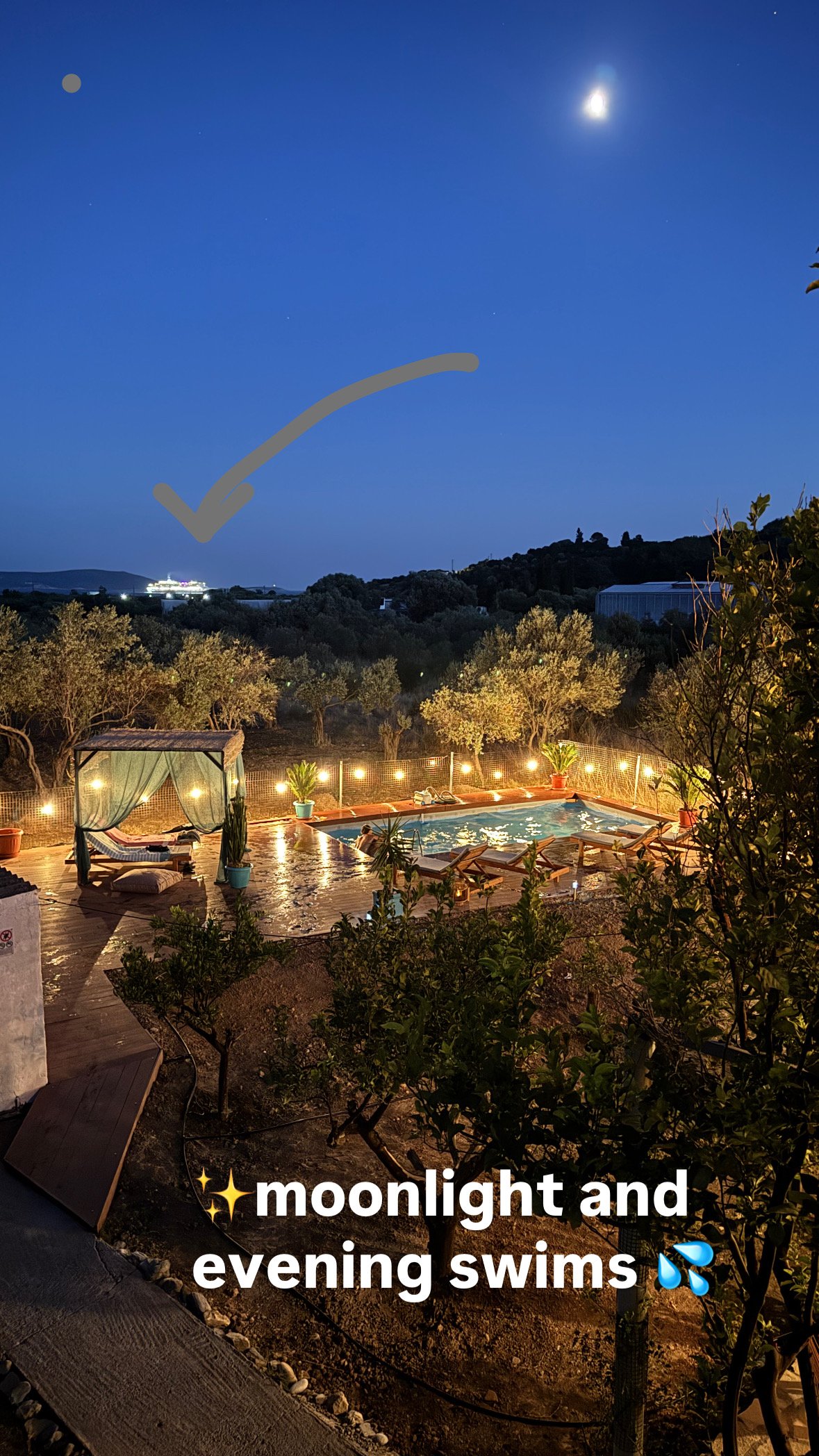 Een tuin met een verlichte zwembad, omgeven door planten en bomen, onder een heldere maan en een sterrenhemel 's avonds.