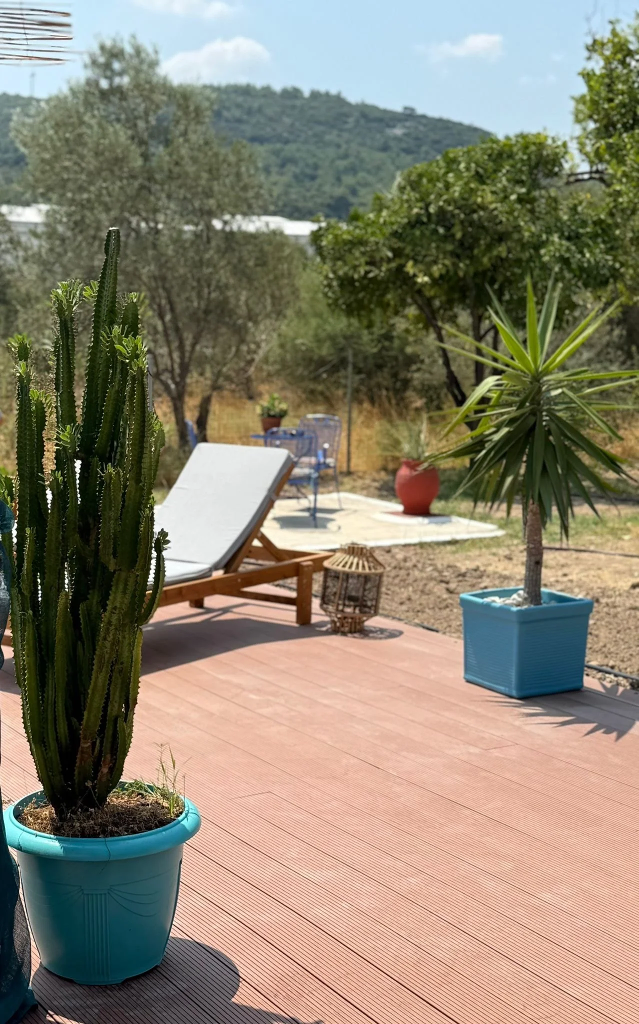 Tuin met cactussen en palmbomen, ligstoel, blauwe bloemenkrukken, en een uitzicht op heuvels onder een blauwe lucht.