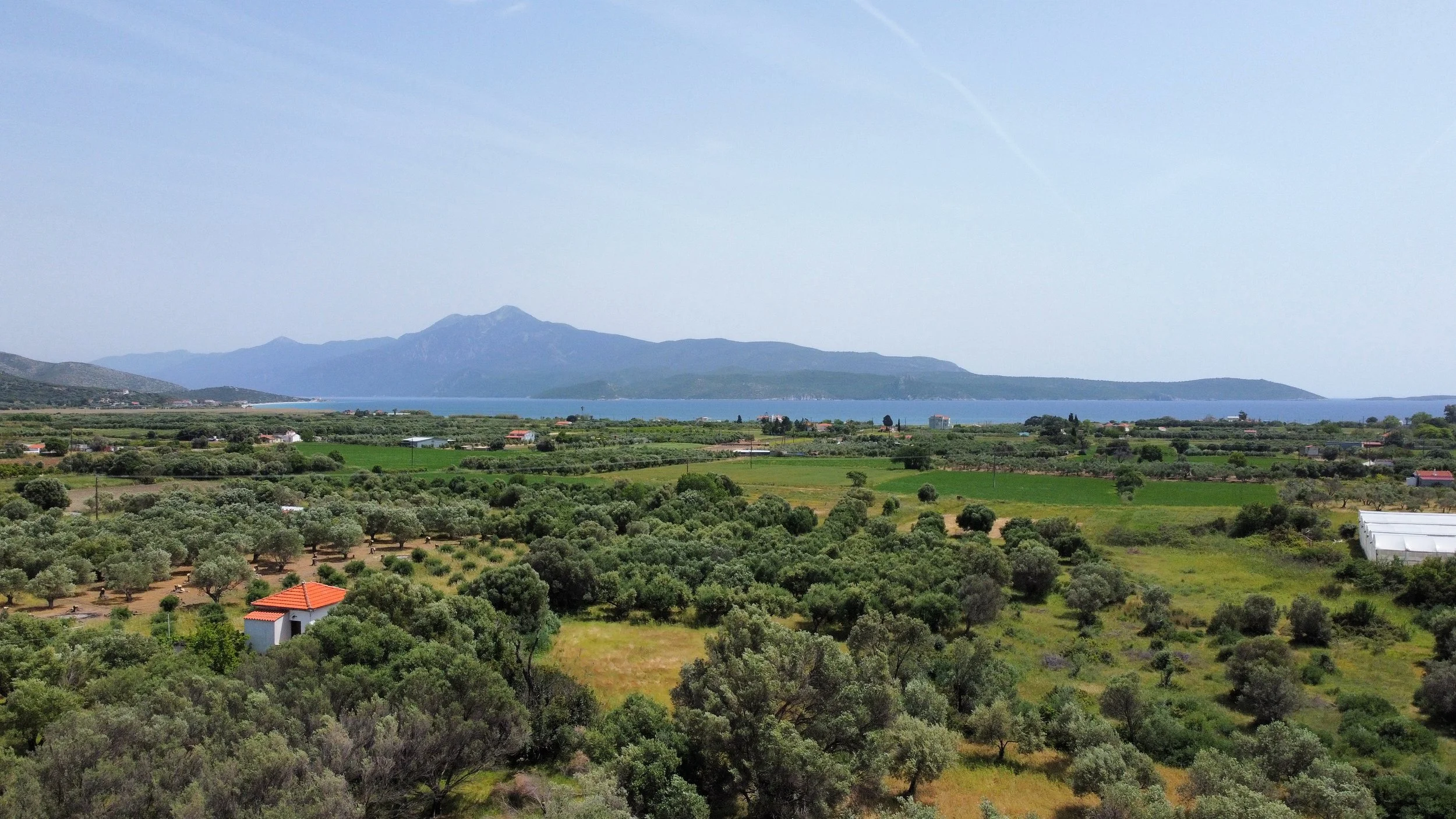 Landschap met heuvels, velden en bomen, een rood dak van een huis en een blauwe zee op de achtergrond.