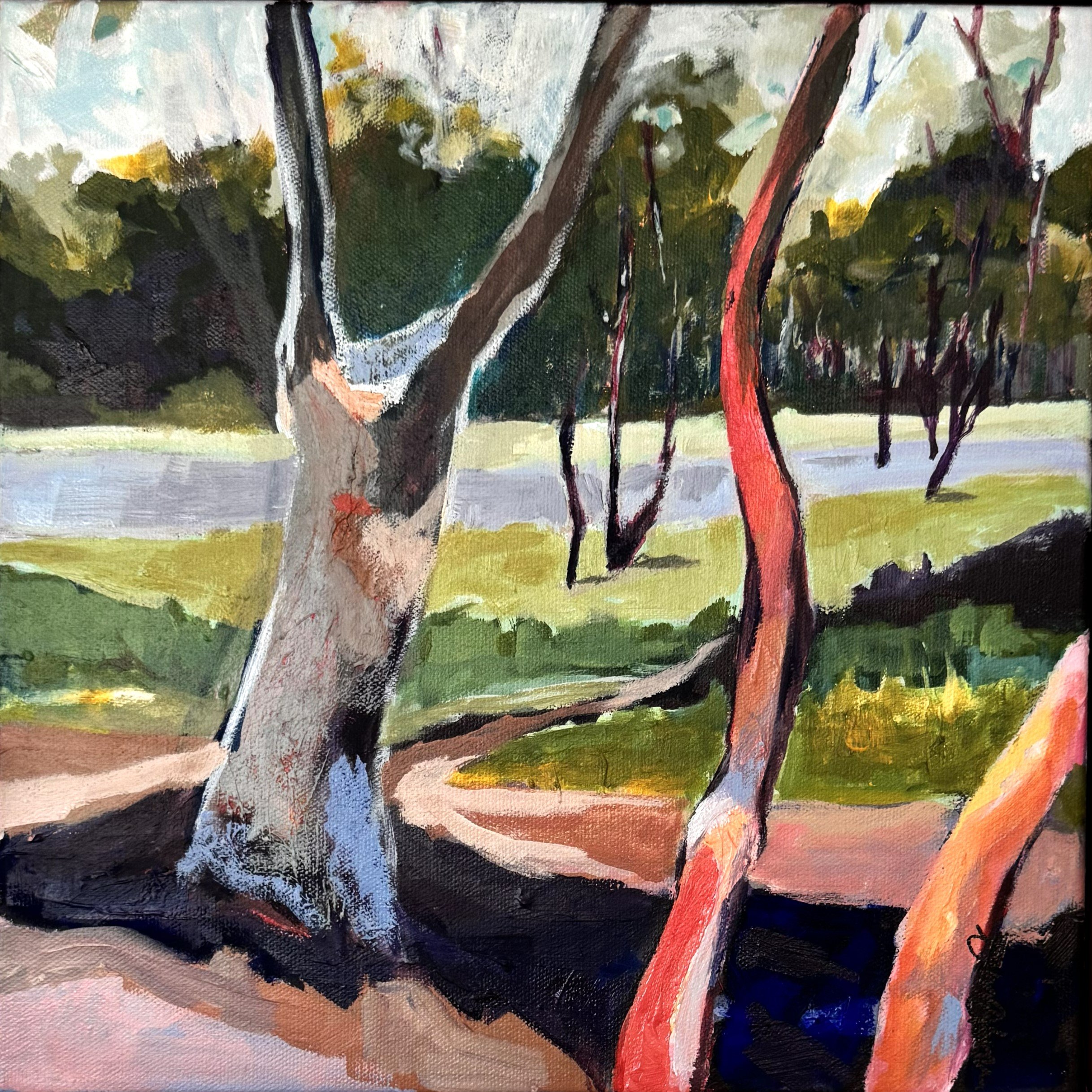 Parallel Wilderness