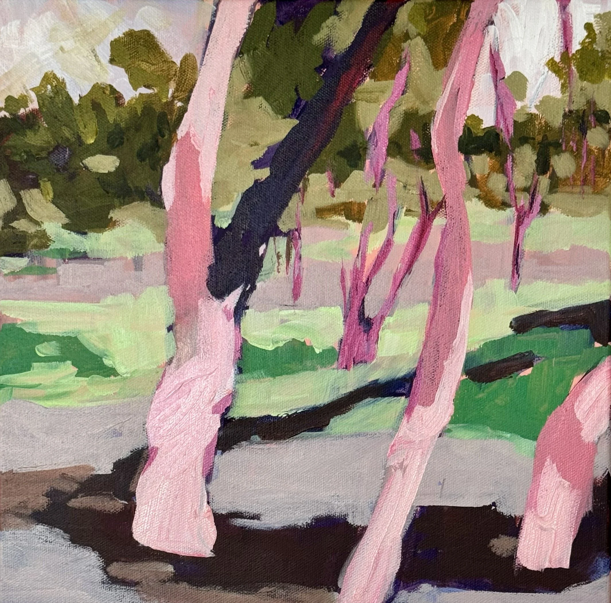 Chromatic Woods