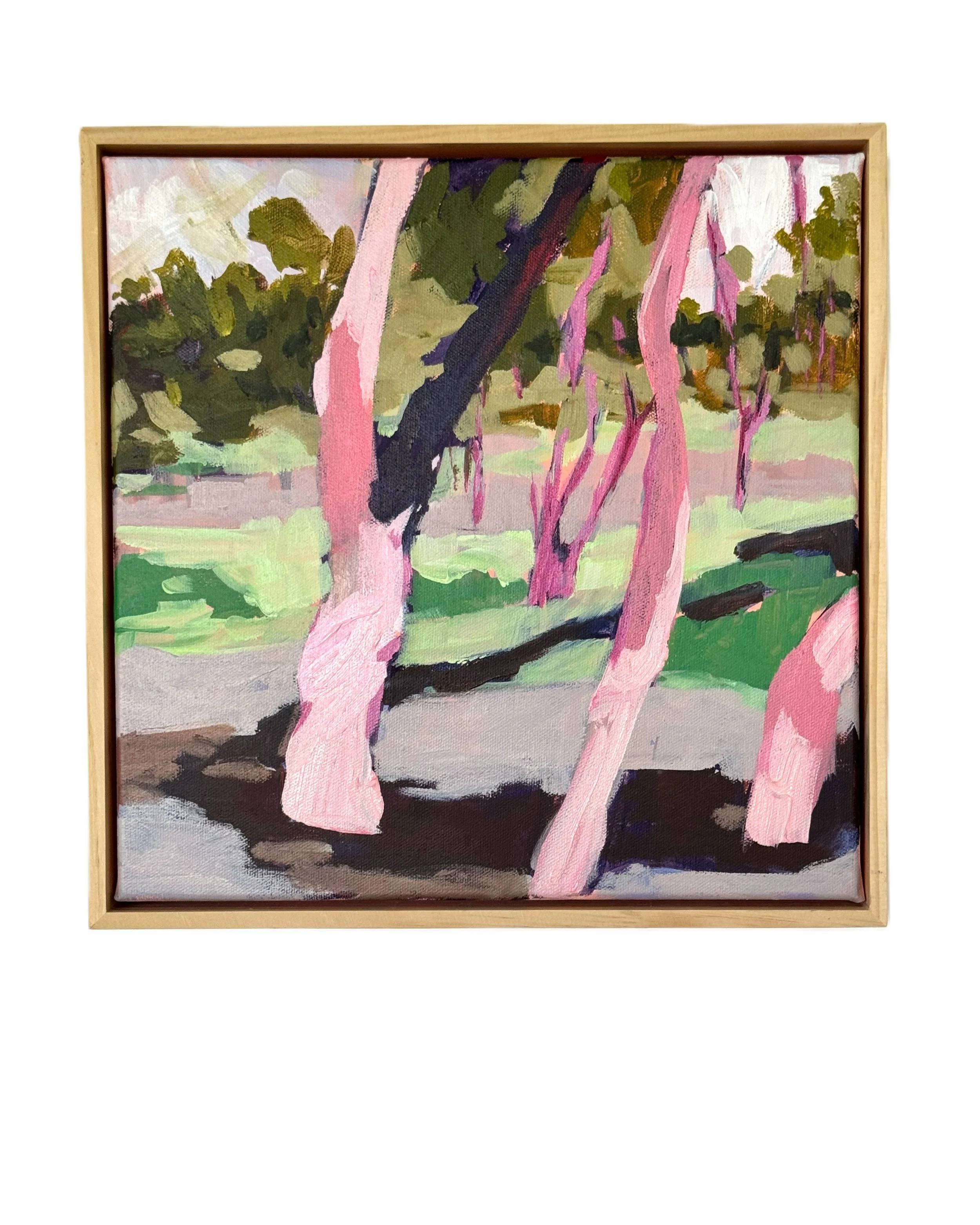 Chromatic Woods framed.jpg