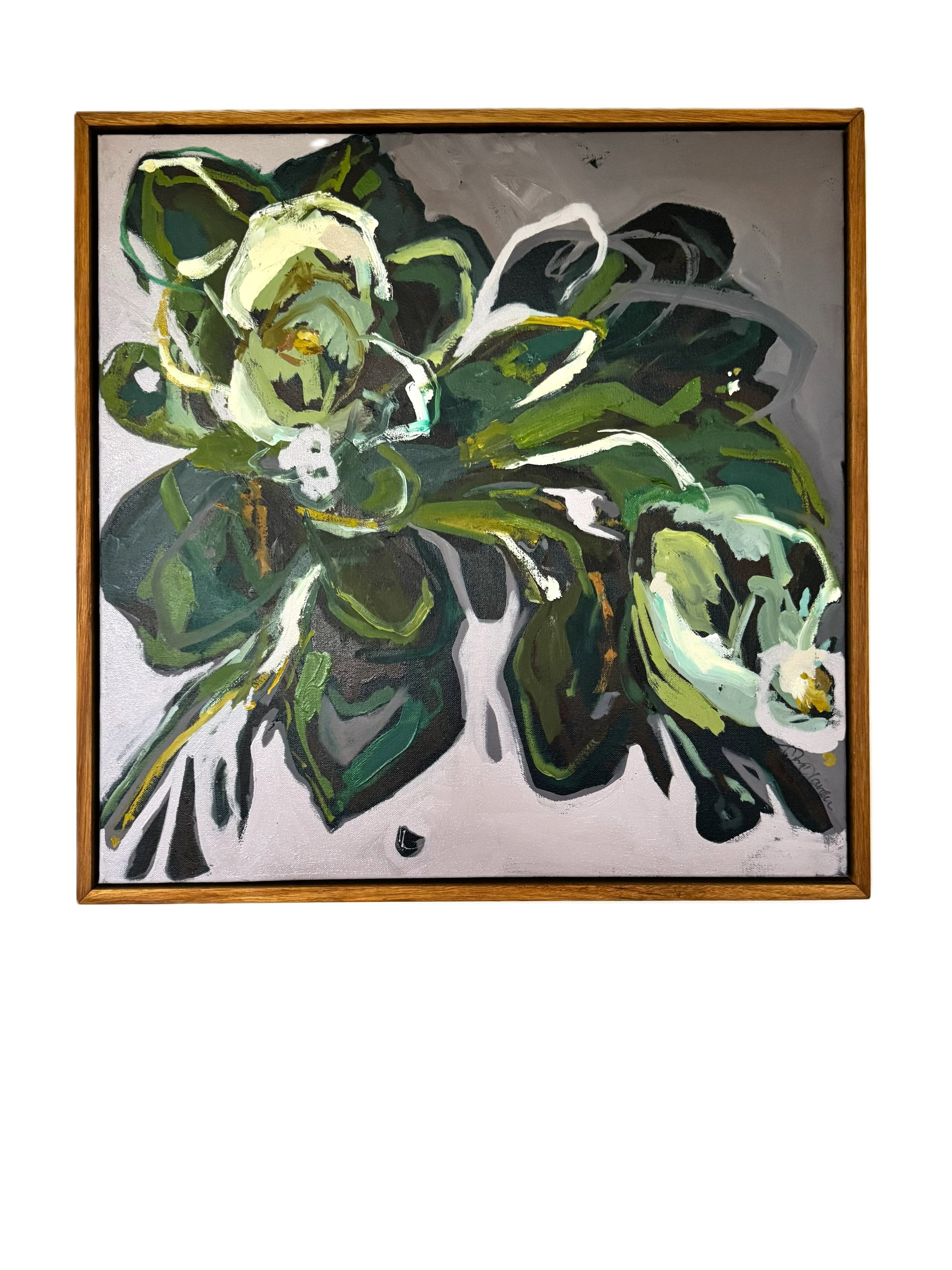 Magnolia Grandifolia with frame2.jpg