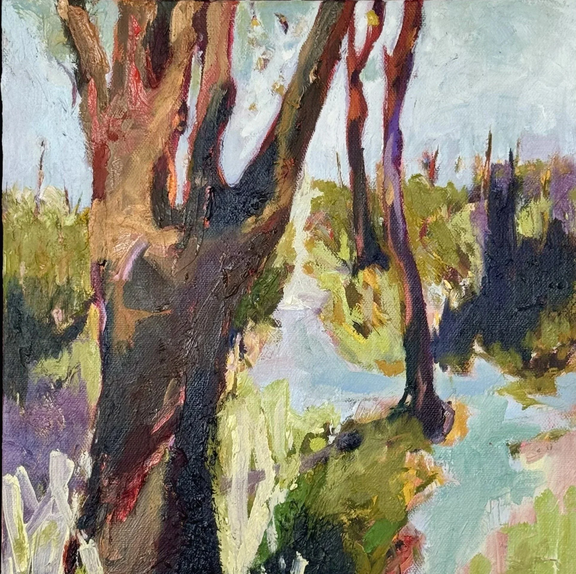 Redgum Country