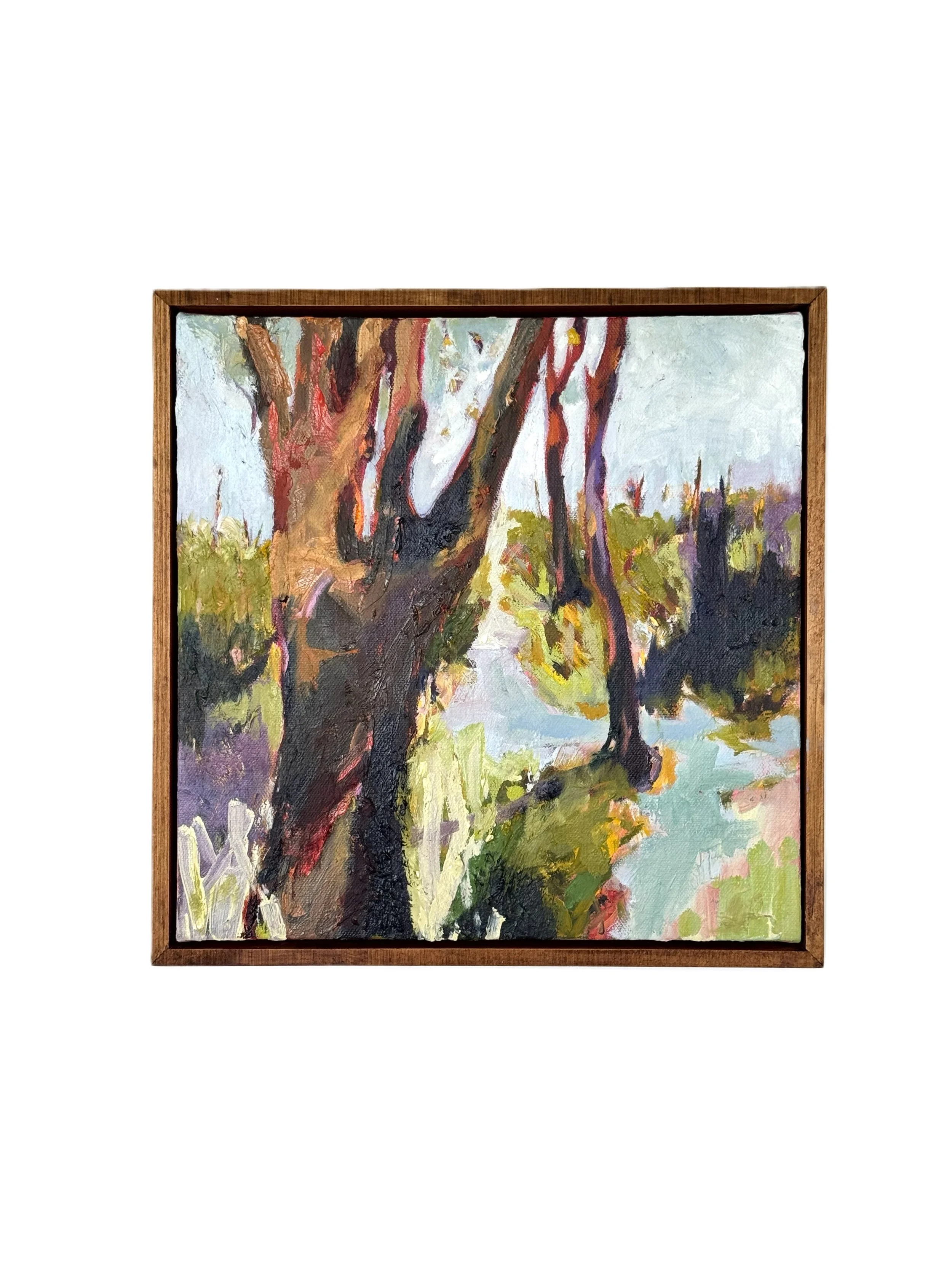 Redgum Country with framed.jpg