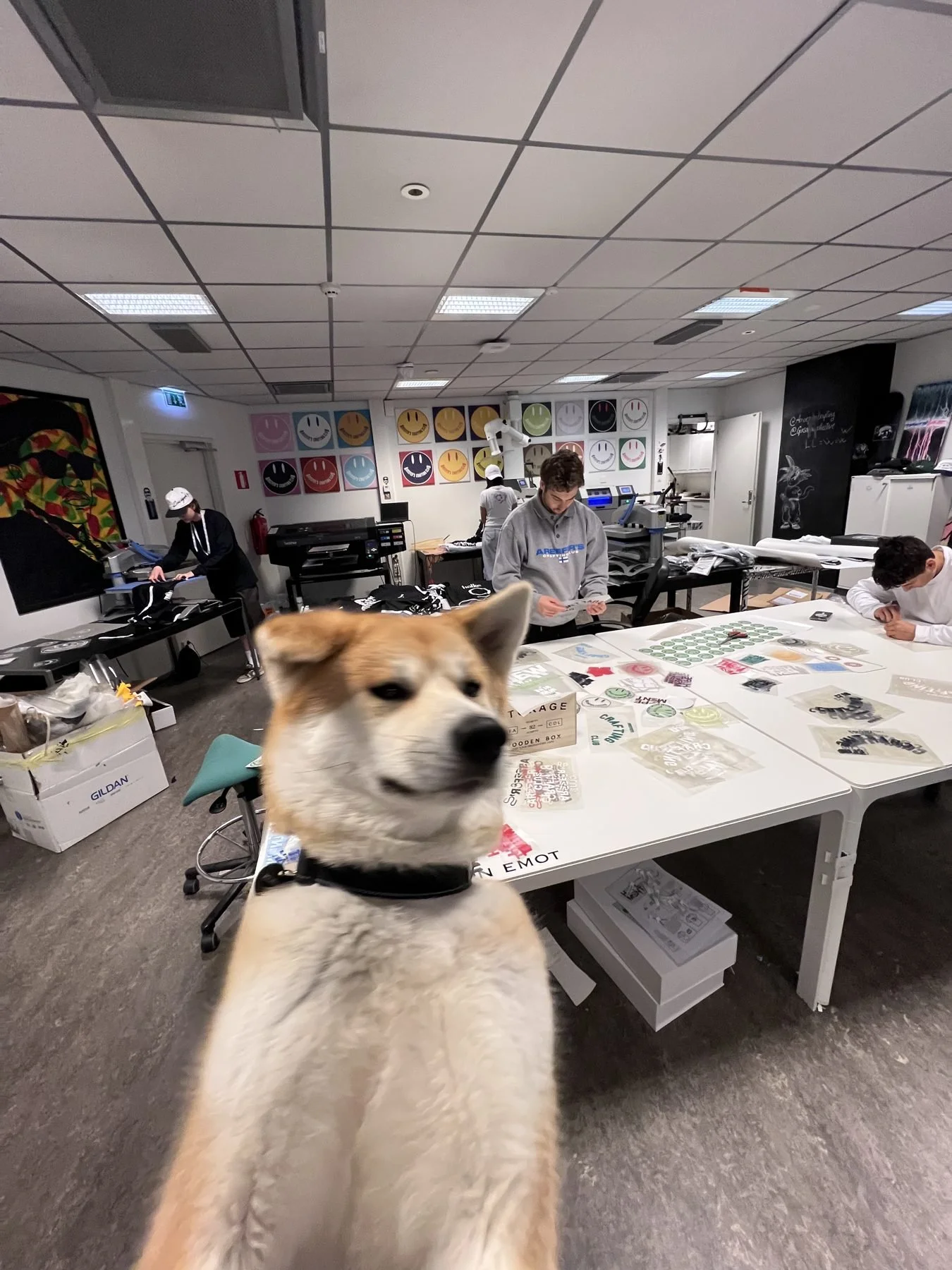 showroom_with_doggo.jpg