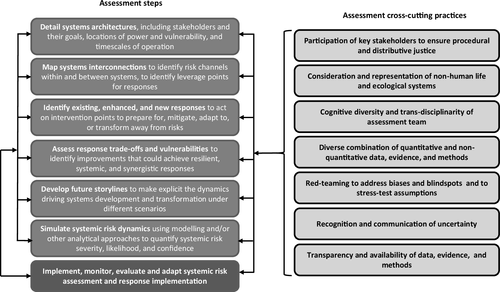 Report: A systemic risk assessment methodological framework for the ...
