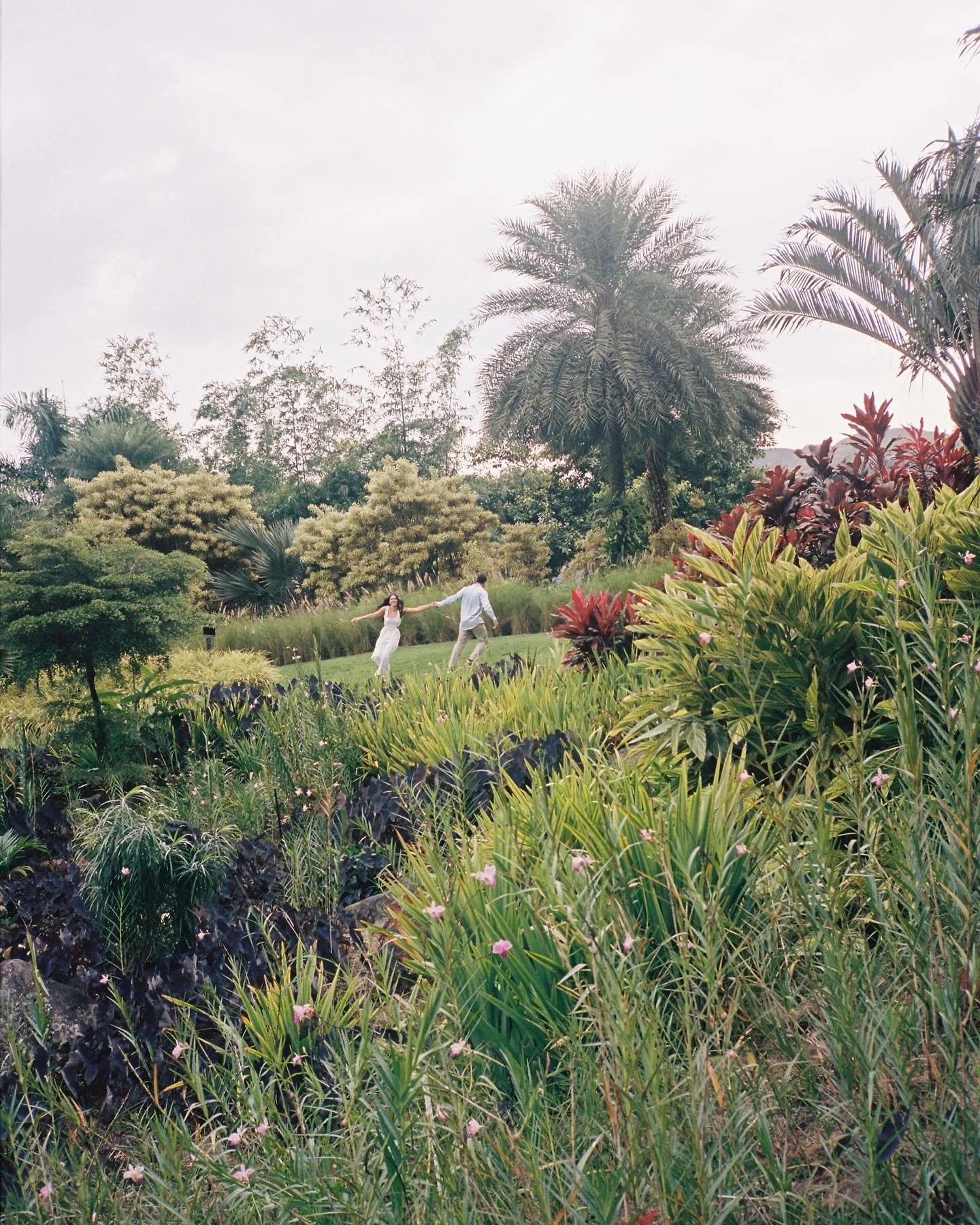 scouting for their wedding.
enero en Panam&agrave;.
film 35mm 🎞️