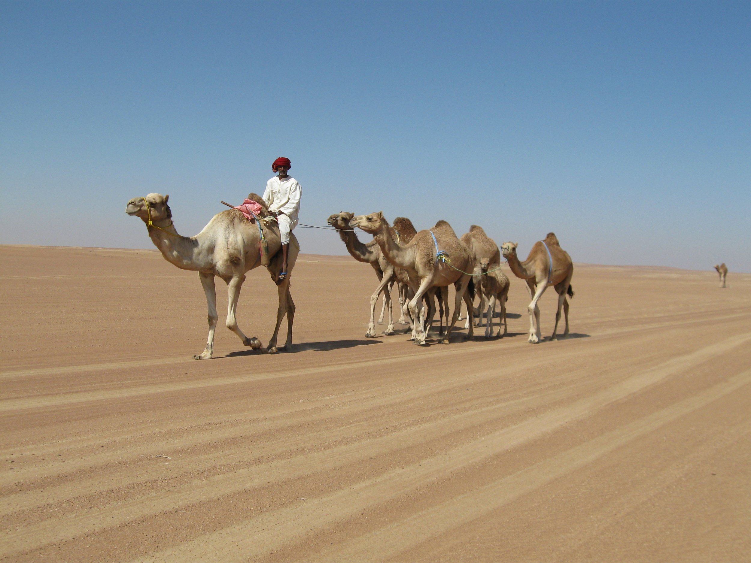 serata-oman-188.jpg
