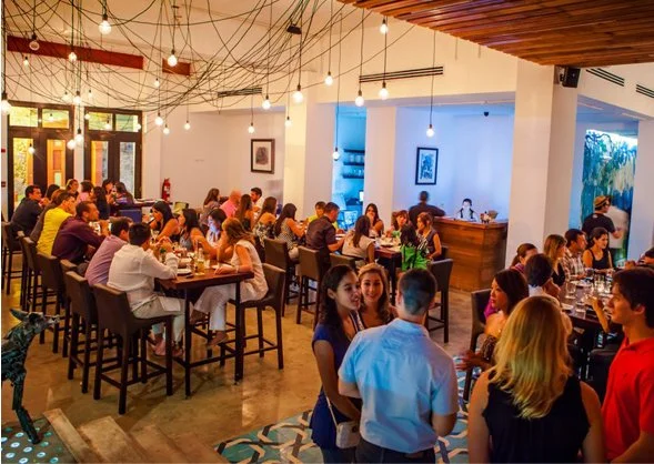 Blesso Properties — Real Estate Development in New York, Costa Rica, and Panama. Focused on Eco-Buildings, Sustainable Projects, and Positive Community Impact.