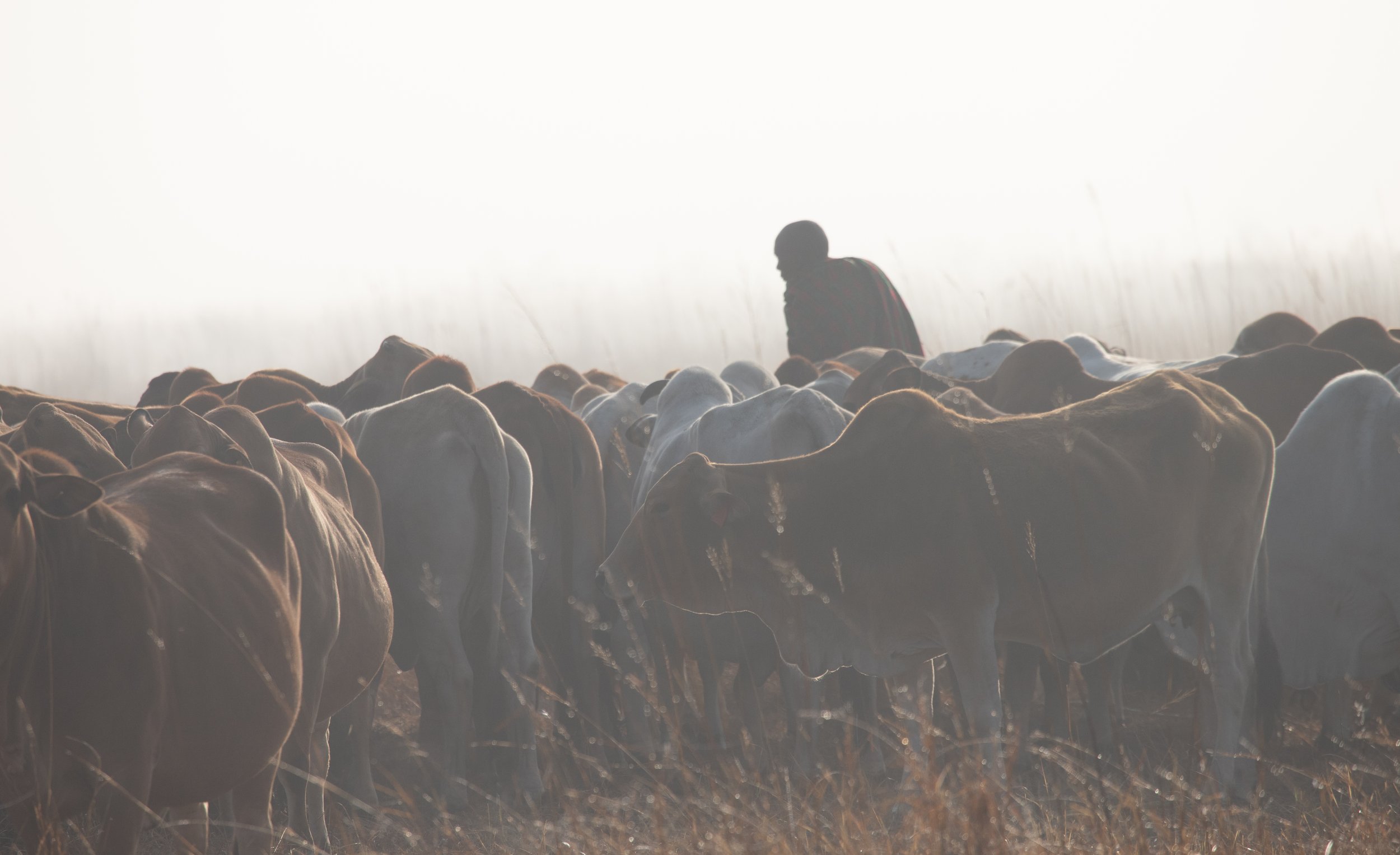 EOS 6D Mark II_2024_09_26_03691.jpg