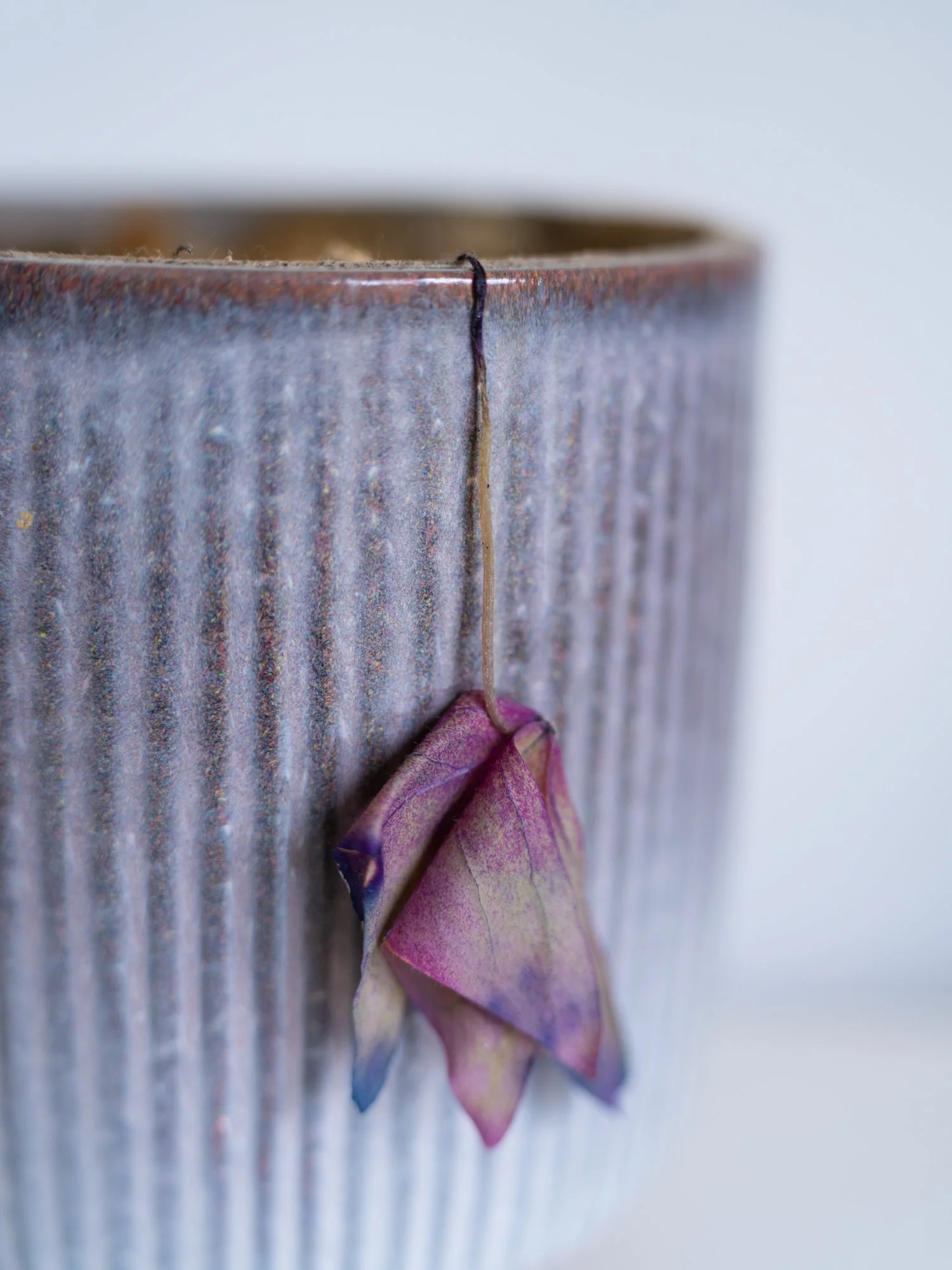 A close-up photograph of a purple and dead leaf that hangs over the edge of a blue-grey pot against a light background.