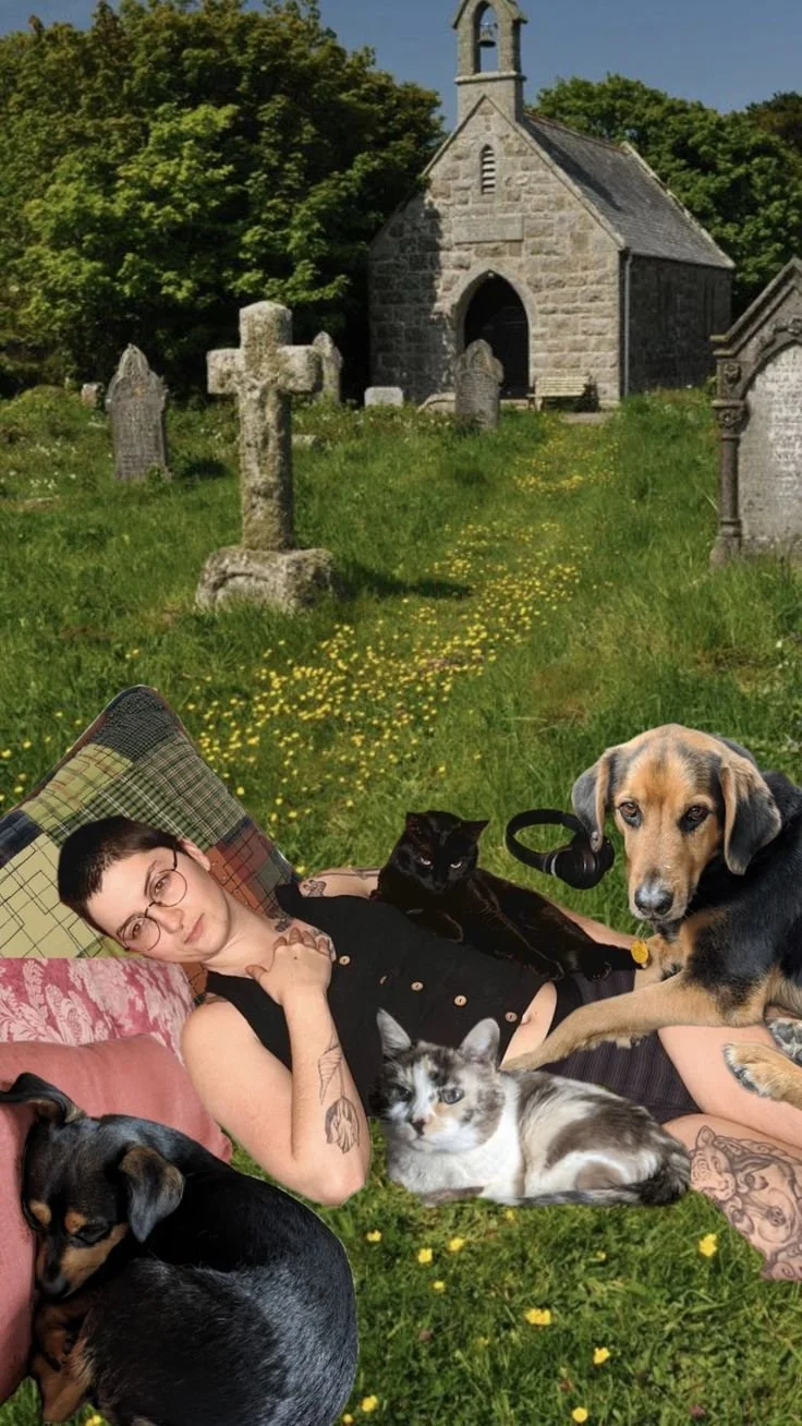 A collage with a graveyard in the background. On the grass of the graveyard there lies a person with a calm expression, surrounded by pets and pillows.