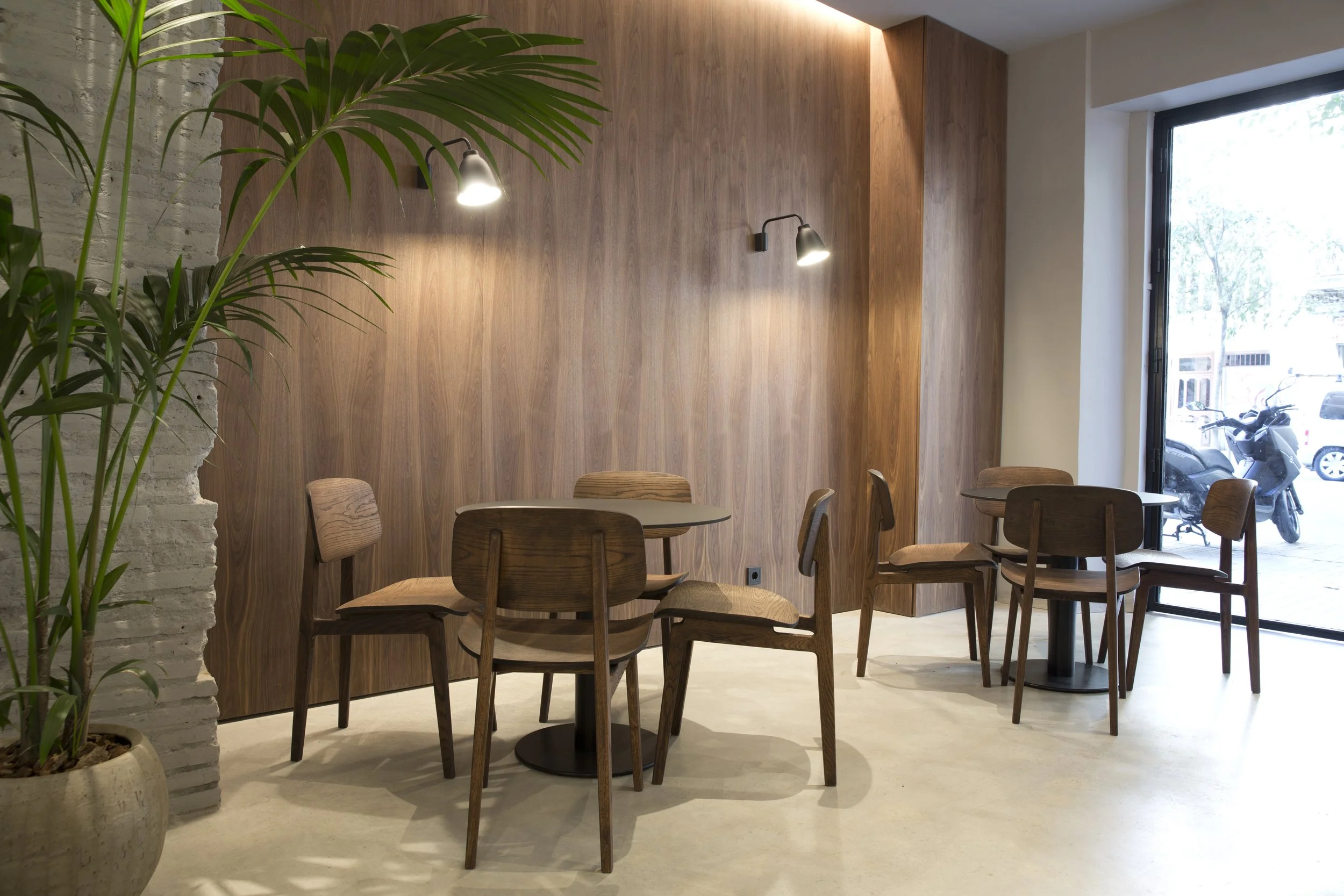 Interior de una cafetería con paredes de madera y sillas de madera alrededor de mesas redondas, una planta grande y luz natural entrando por una ventana grande.