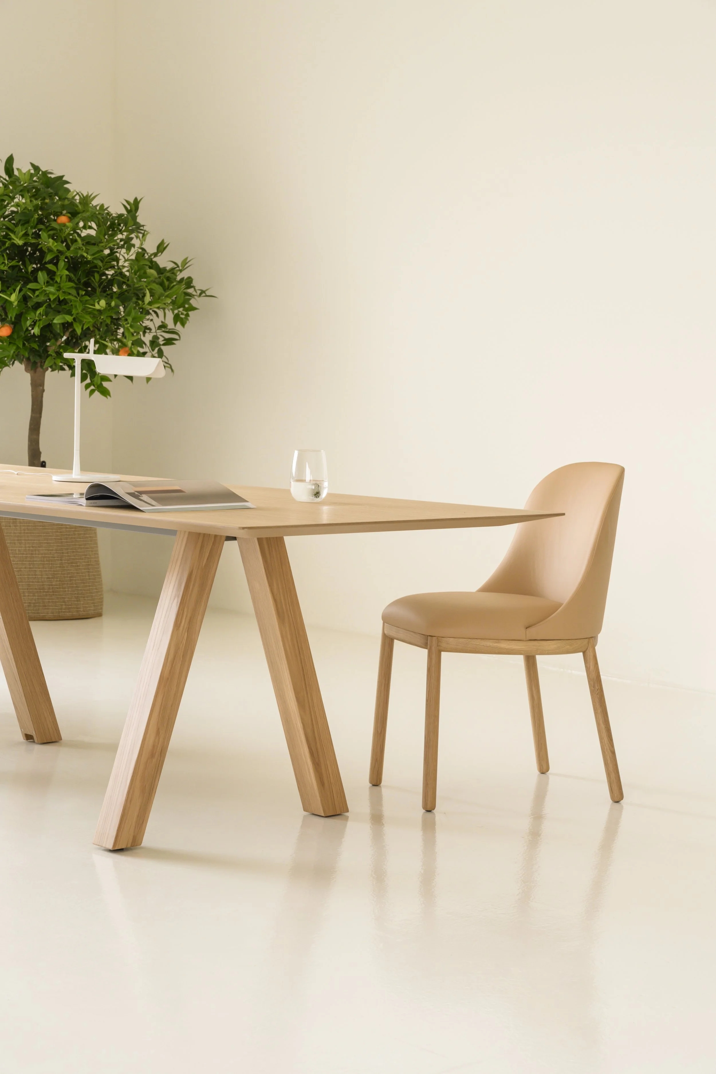 Mesa de madera clara con una silla de respaldo curvado en beige y un vaso con agua, en una oficina minimalista con planta y lámpara.
