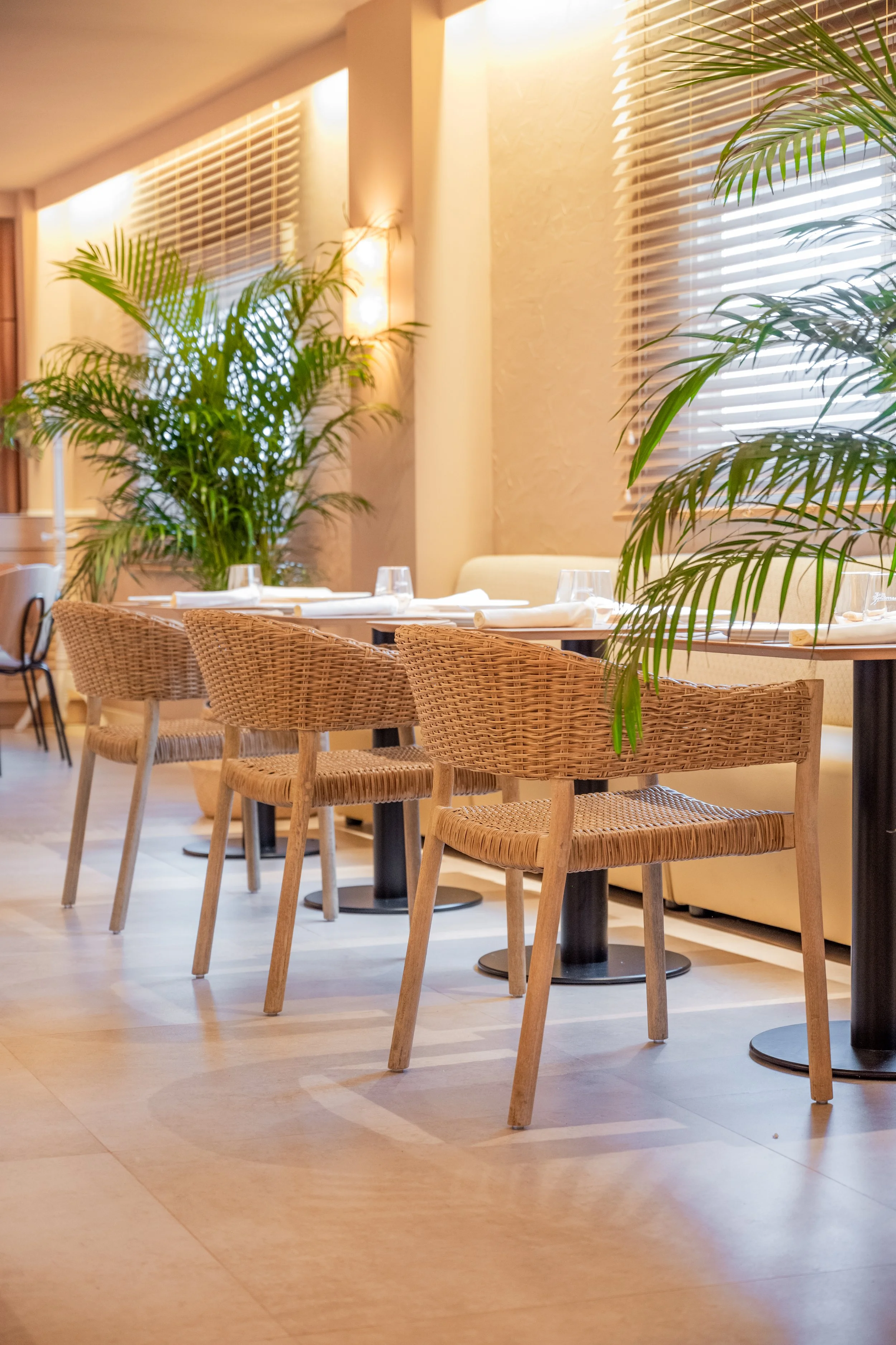 Mesa en un restaurante con sillas de mimbre y cristalería, decorada con plantas verdes y ventanas con persianas de madera.